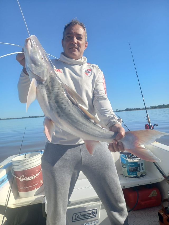 Un hombre en un bote sostiene un gran pez plateado contra un cielo azul brillante y aguas tranquilas.