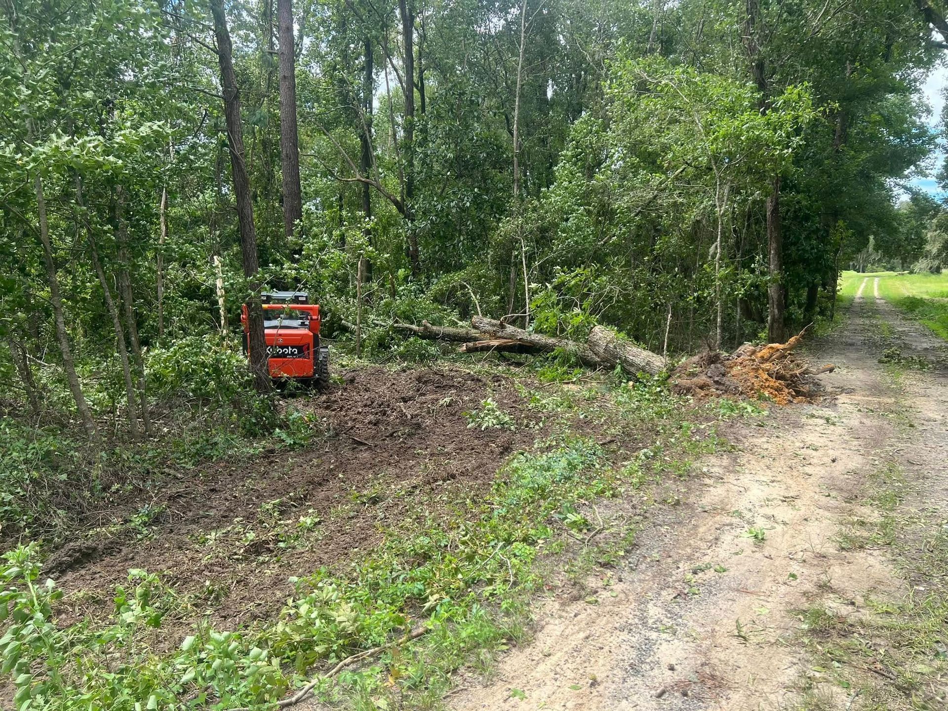 An orange brush cutter clears vegetation and a fallen tree next to a dirt road in a wooded area.