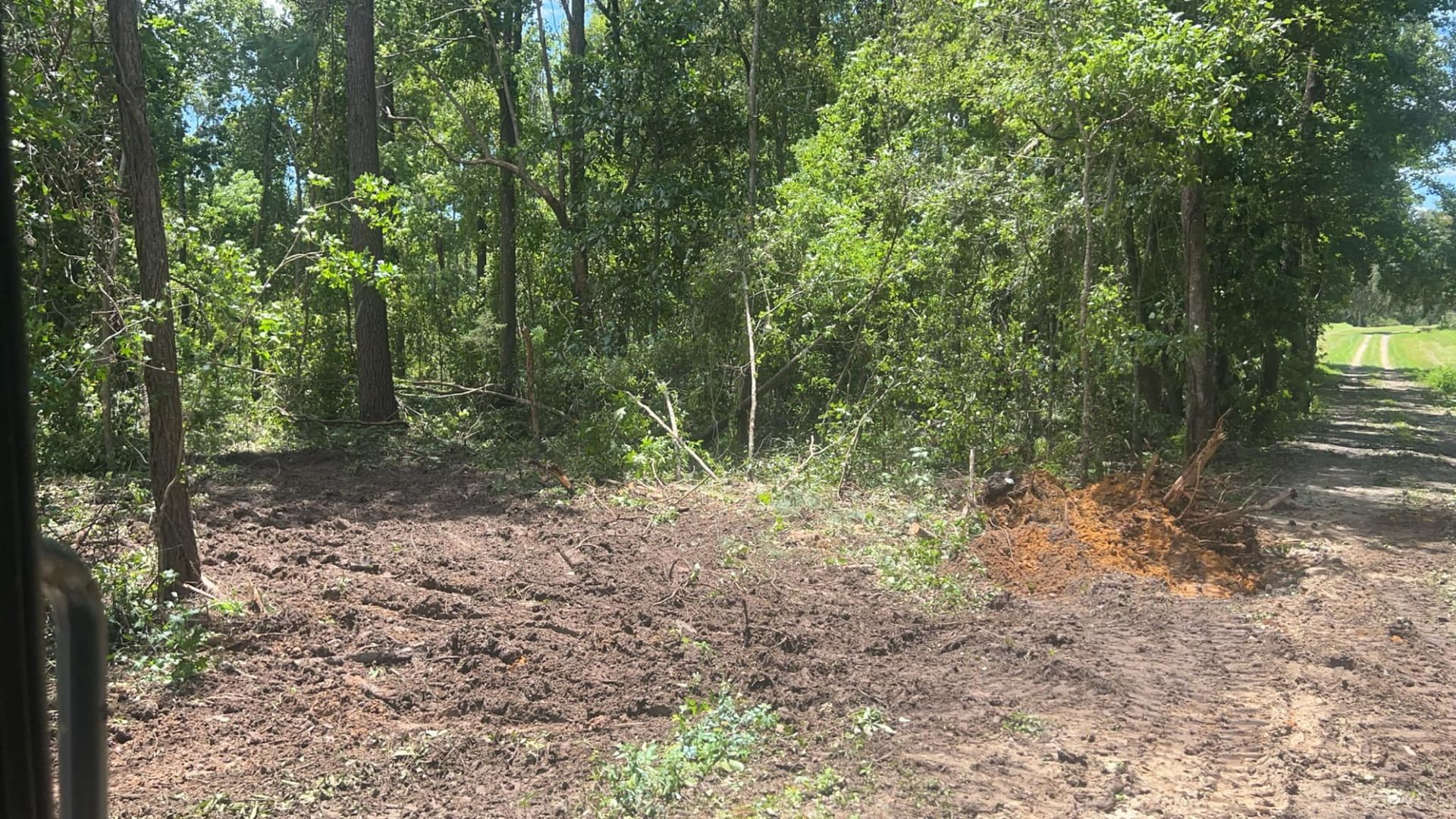 A cleared patch of dark, disturbed earth in a wooded area, with piles of brush and trees in the background.