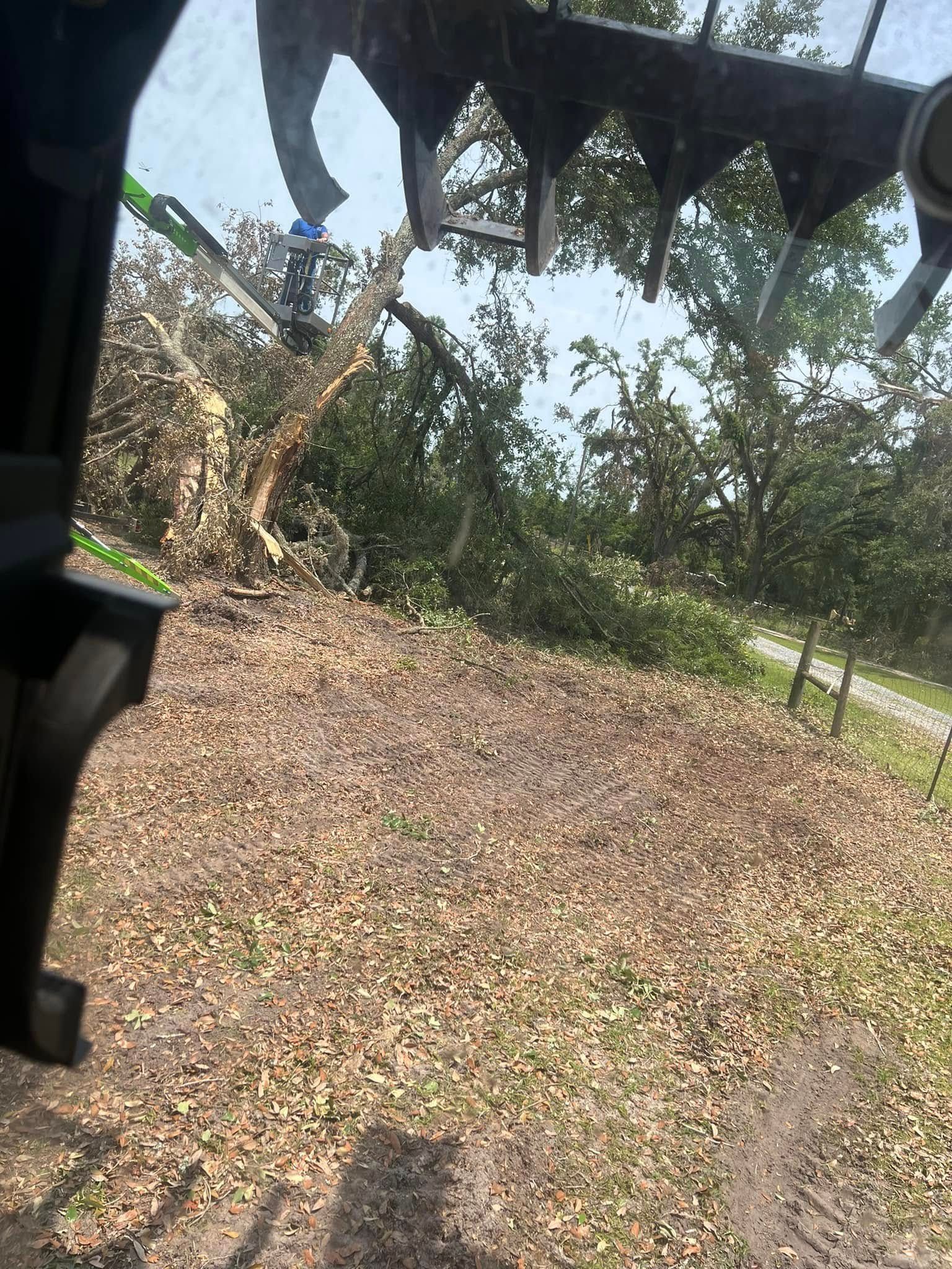 A view from inside heavy equipment showing a large metal grapple tool clearing downed trees and brush in a wooded area.