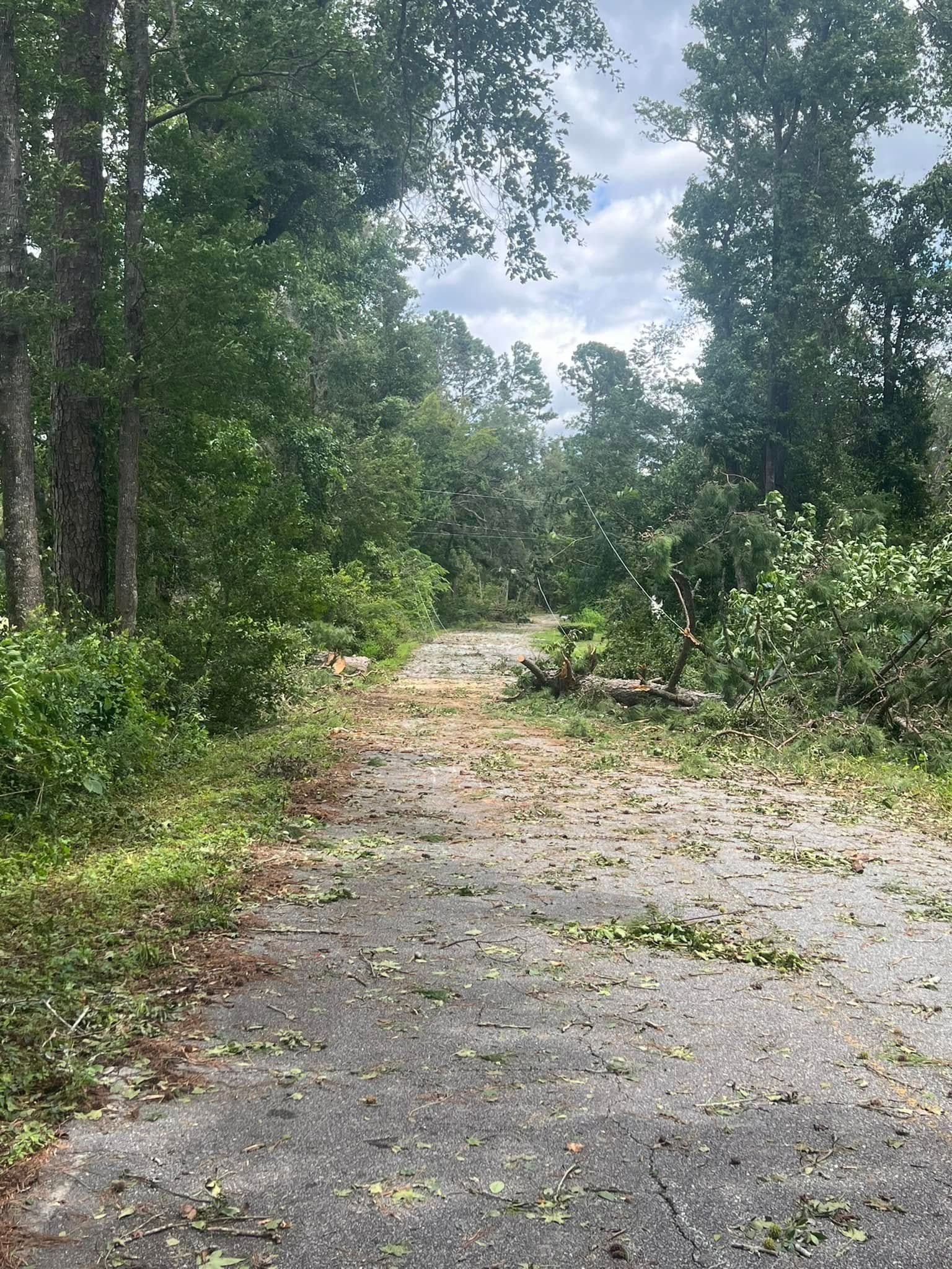 A gravel path through a wooded area covered in scattered leaves and tree debris after a storm.