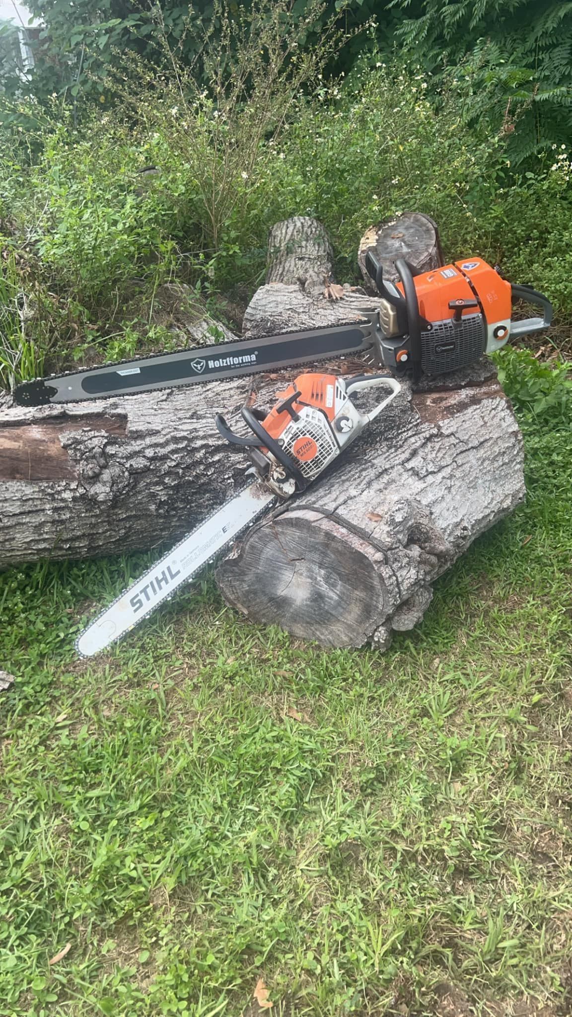 Two chainsaws, one orange and one white and orange, resting on large logs in a grassy, wooded outdoor area.