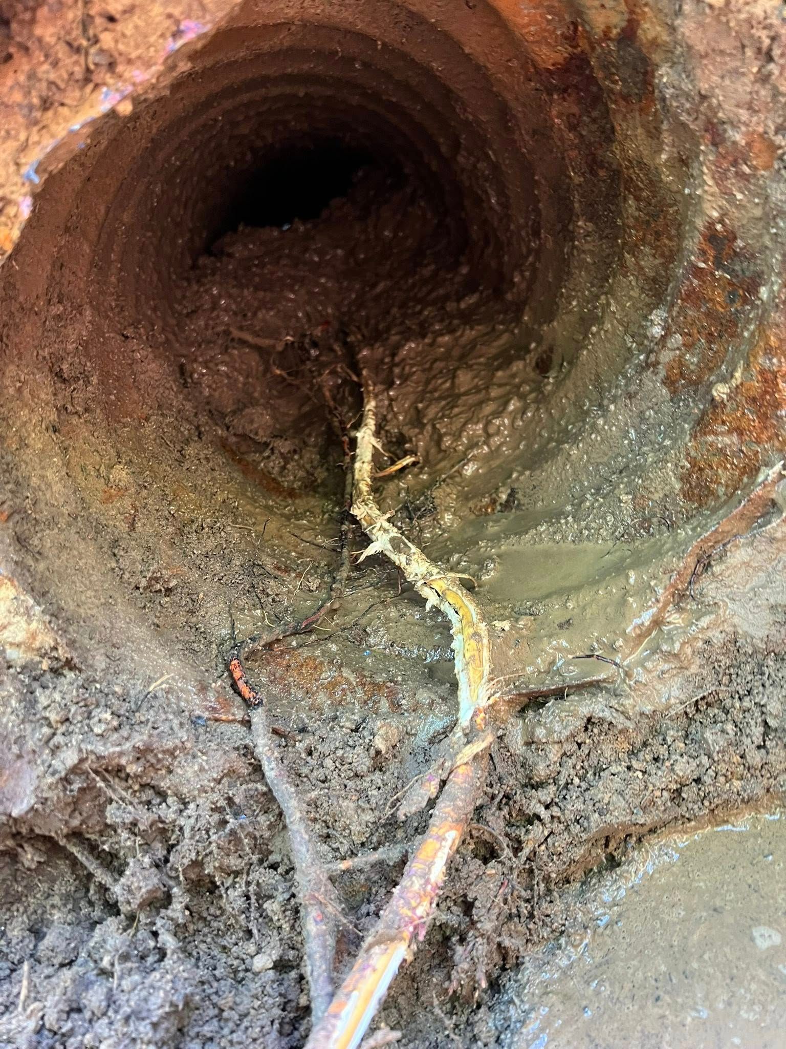 A thick tree root penetrating a hole in a dark, rusty, circular pipe underground.