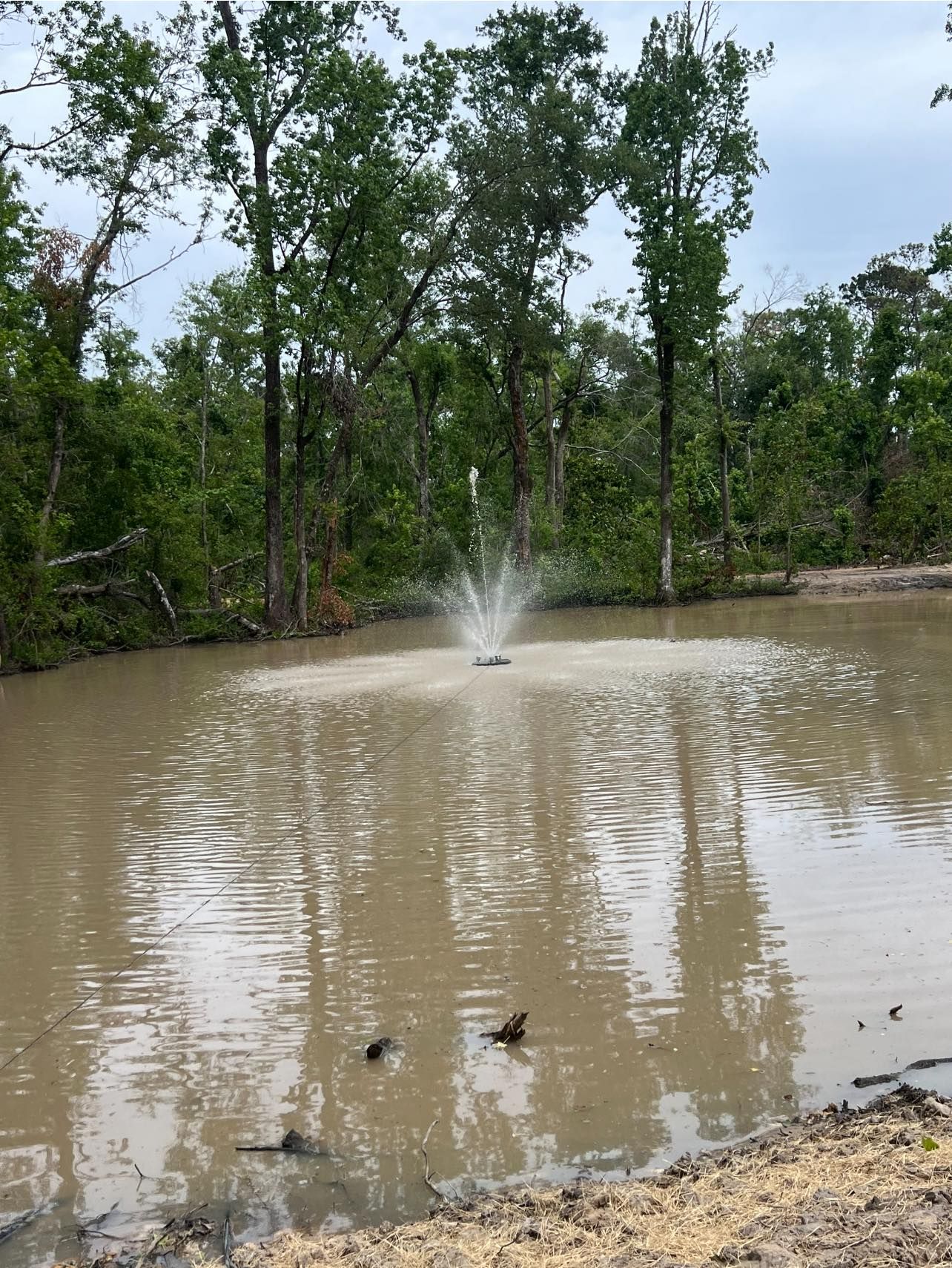 A small fountain spraying water in the center of a muddy pond surrounded by trees.