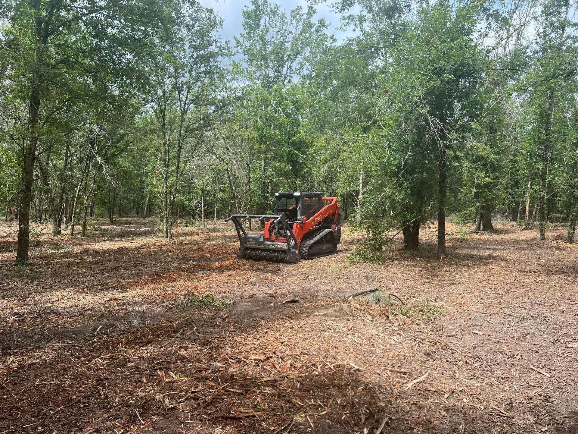 An orange skid steer with a forestry mulching attachment clears brush in a wooded area covered with fallen leaves.