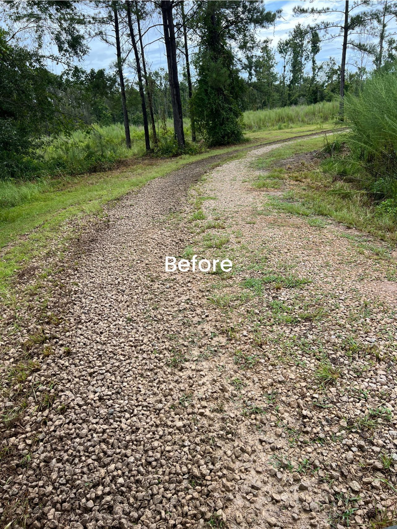 A gravel driveway path winding through a grassy, wooded area, labeled with the word 