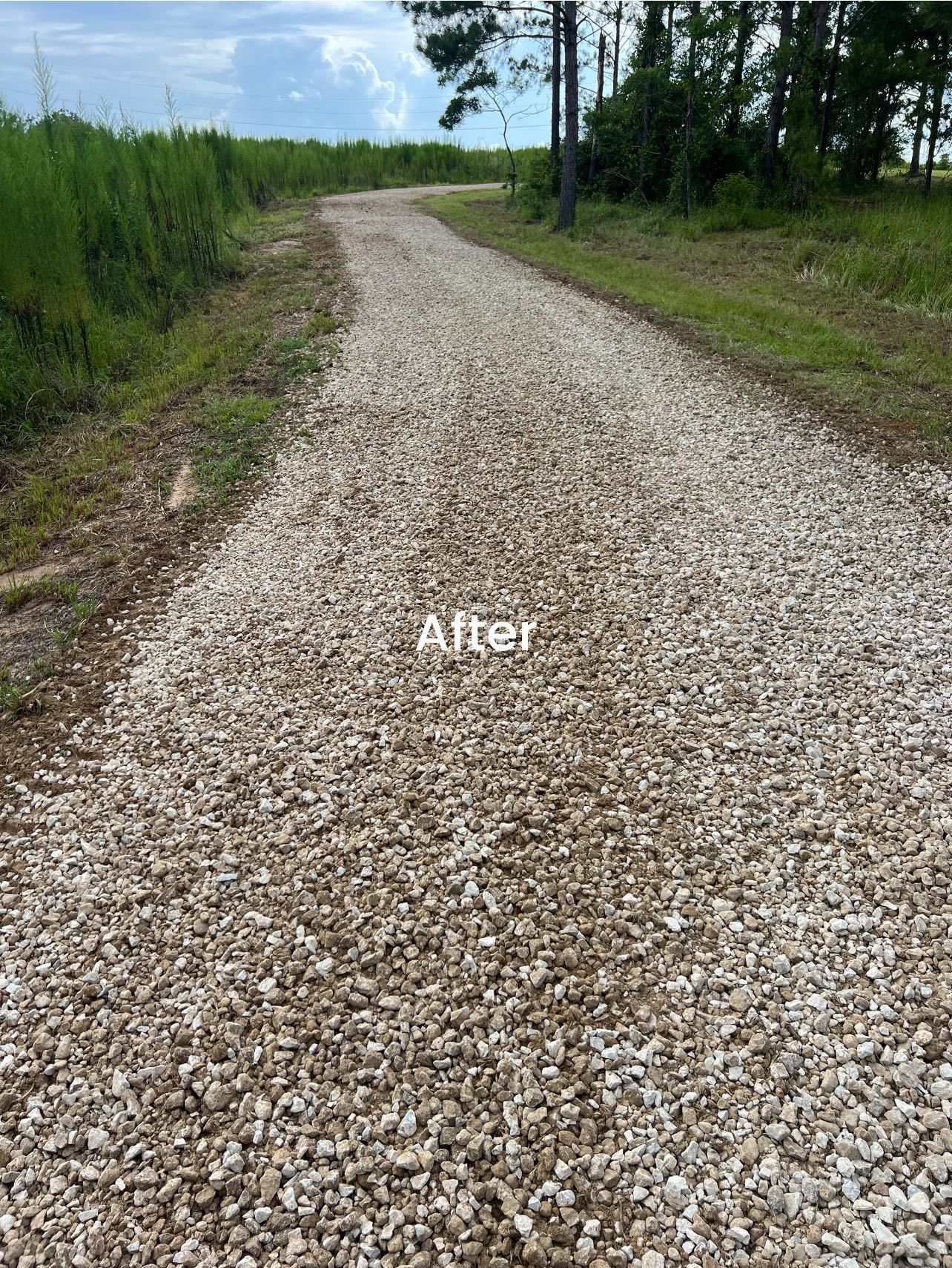 A gravel driveway stretching into the distance with grass and trees along the sides under a cloudy sky.
