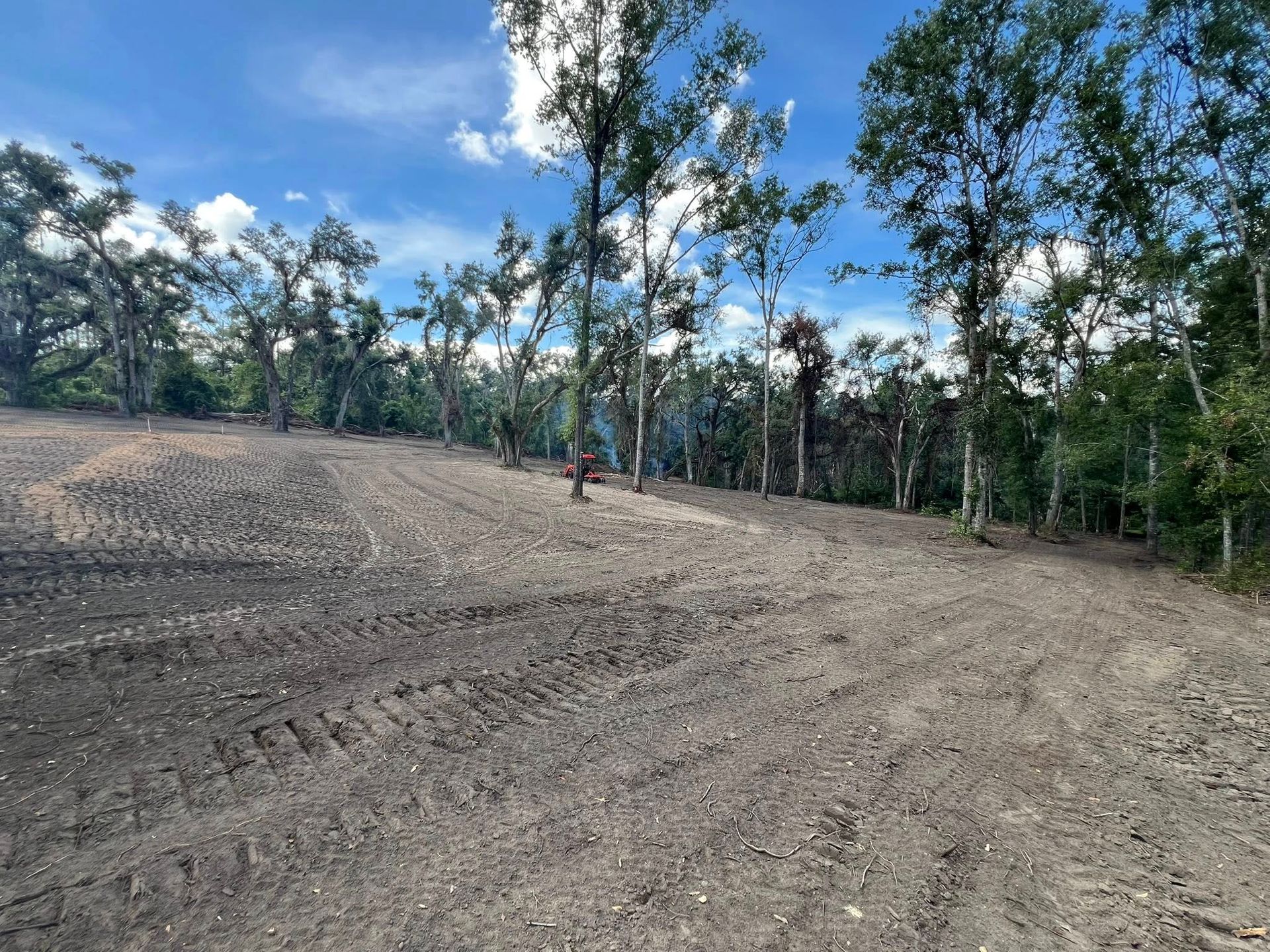 A field of freshly tilled, dark brown soil bordering a line of tall green trees under a bright blue sky with light clouds.