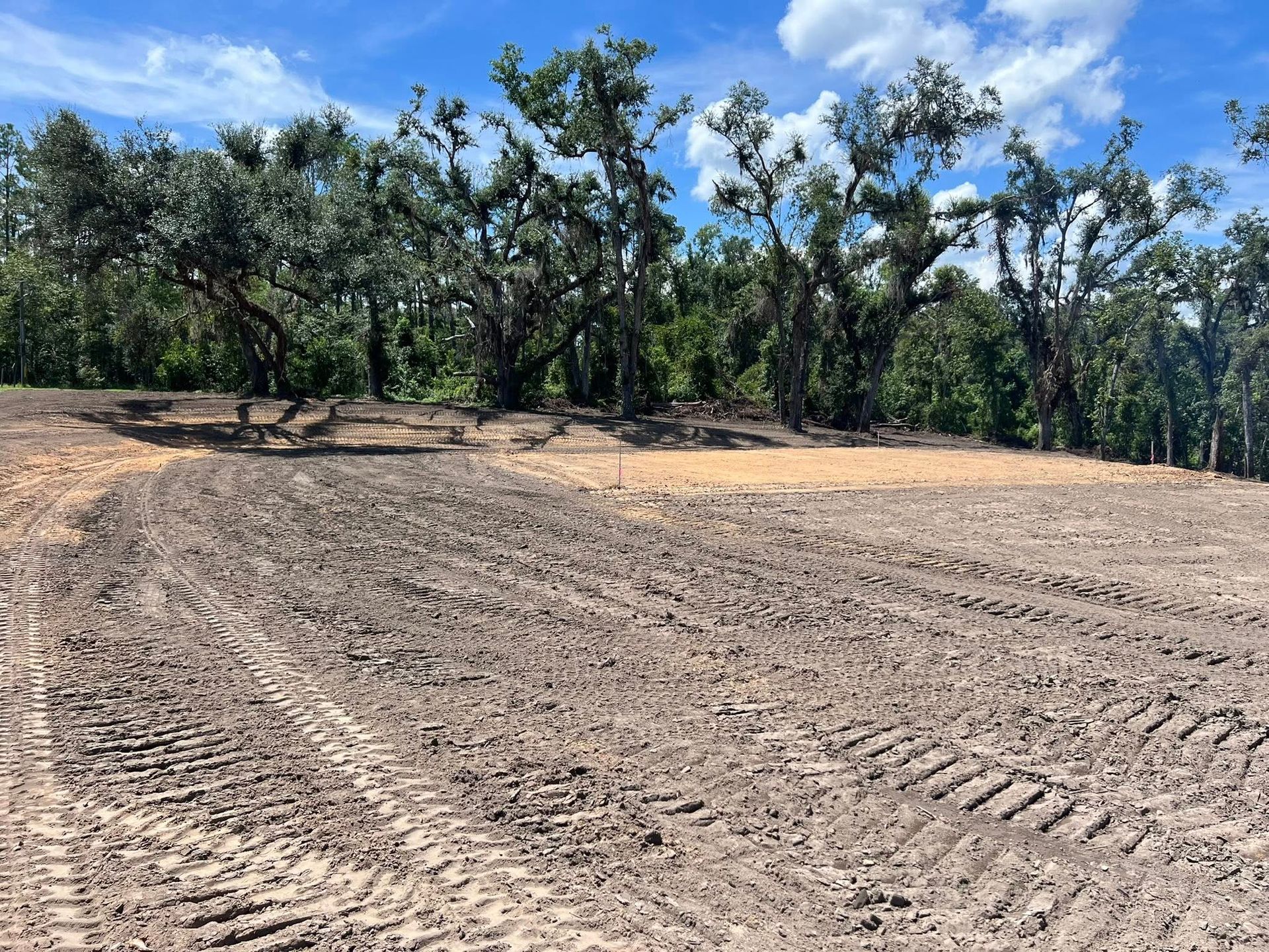 Clearing land with visible heavy machinery tire tracks on dirt, bordered by a line of mature trees under a sunny sky.