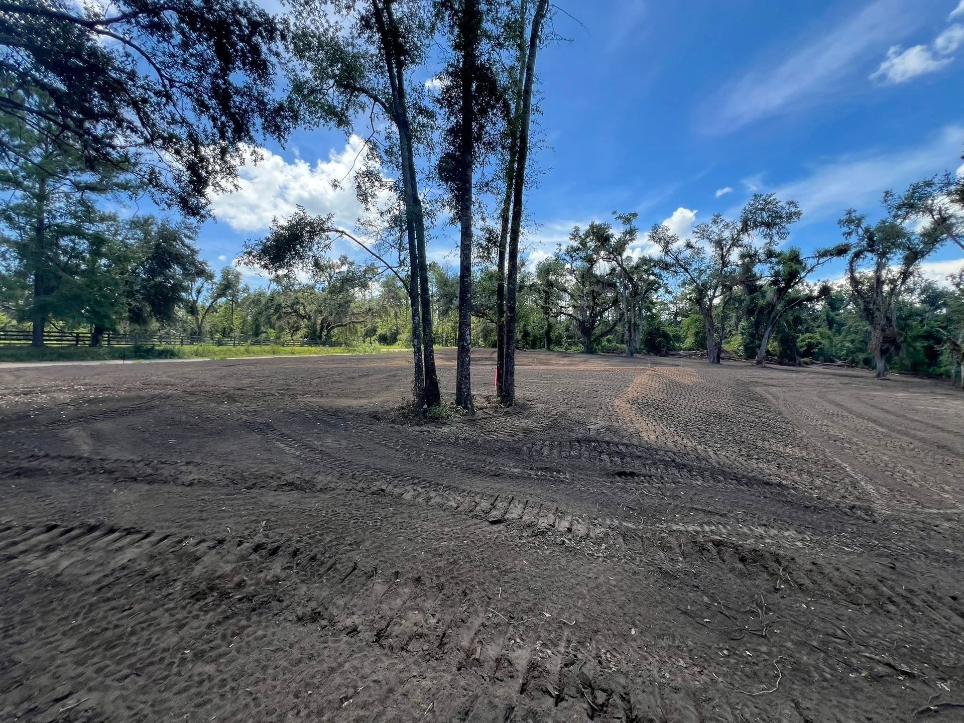A recently cleared, dirt-covered plot of land with tire tracks, surrounded by trees under a bright blue sky.