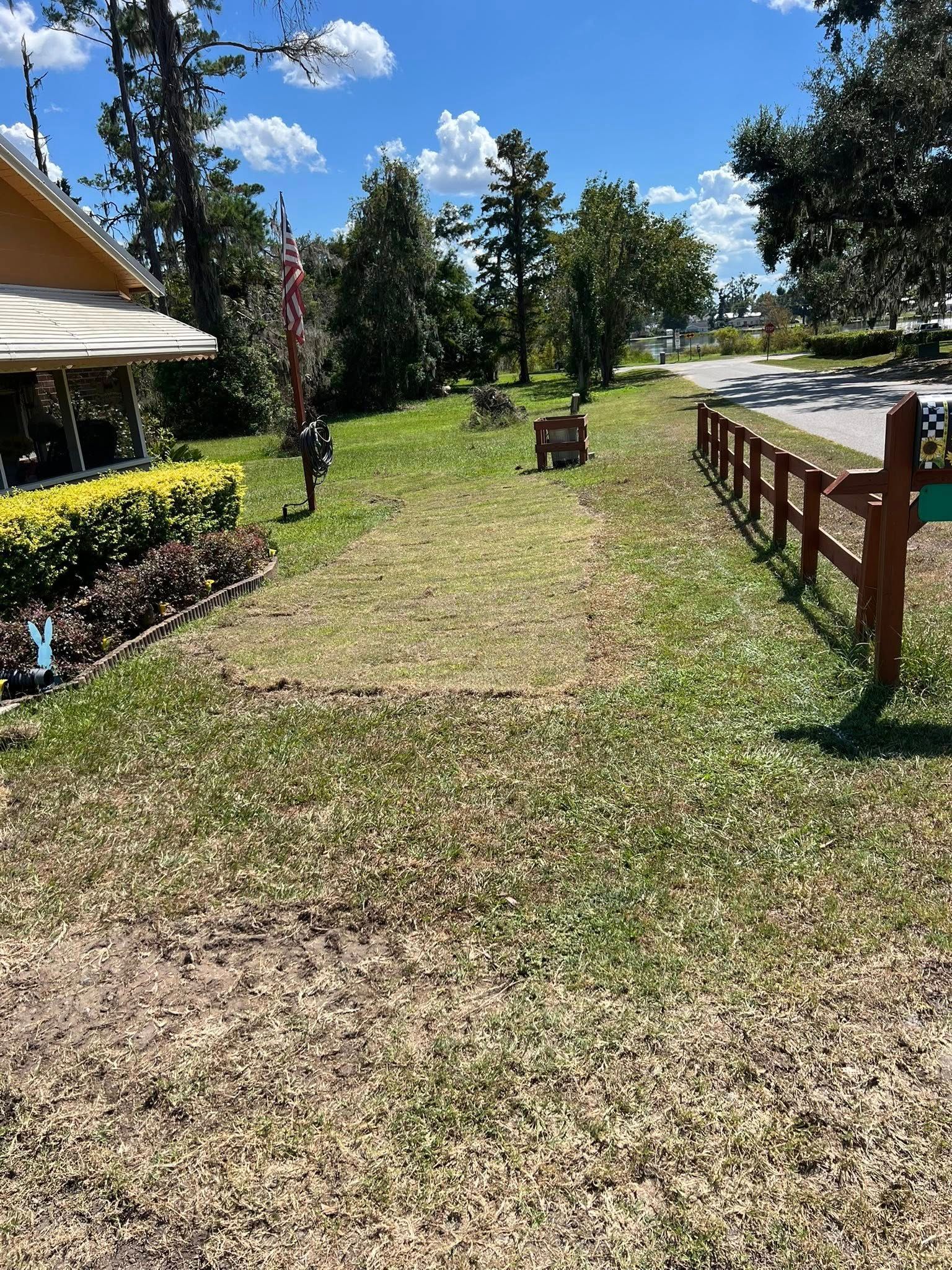 A grassy lawn with a freshly mowed path leading toward a wooden fence and trees under a sunny blue sky.