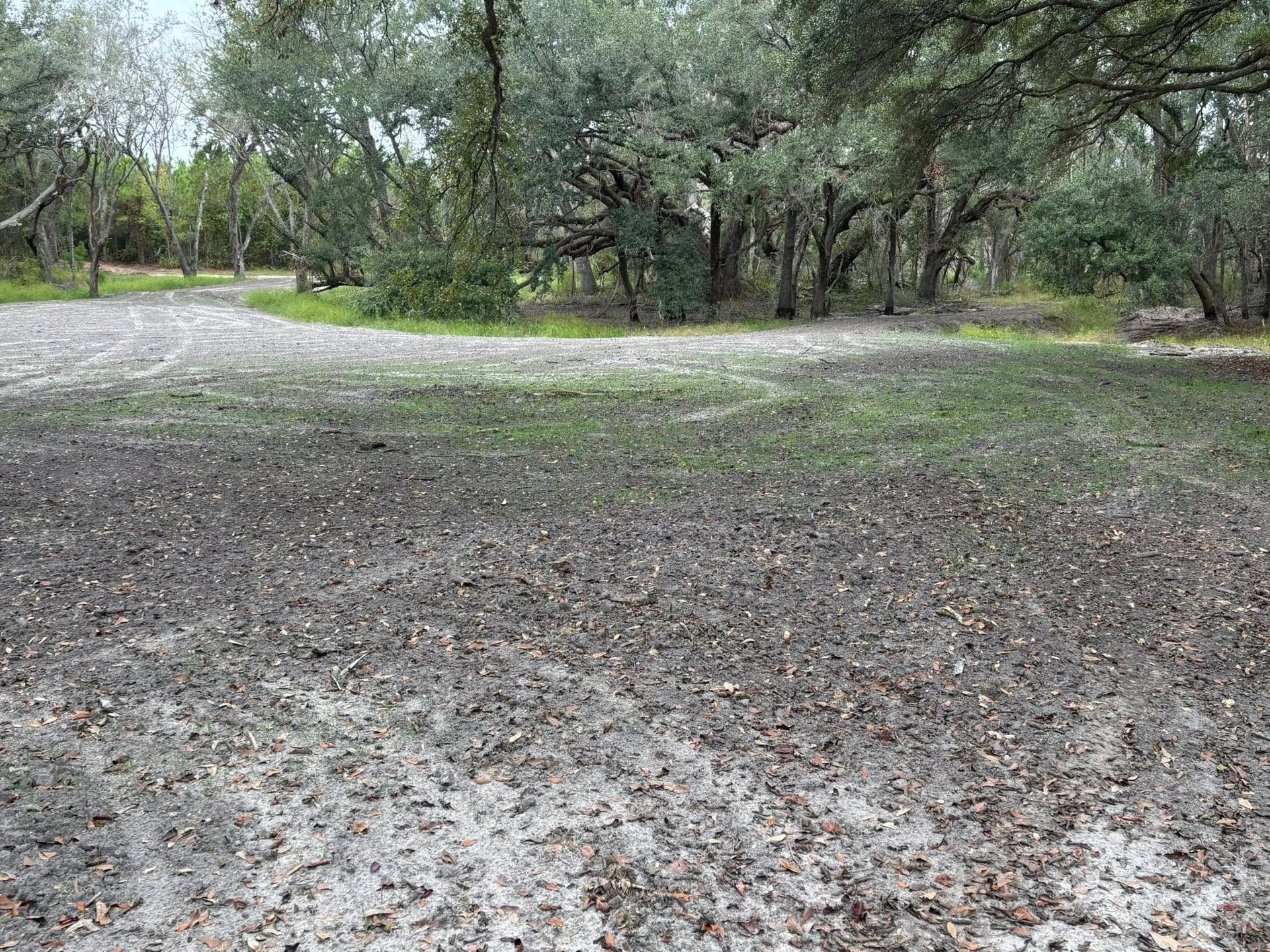 A dirt and leaf-covered path winds through a wooded area with trees under an overcast sky.