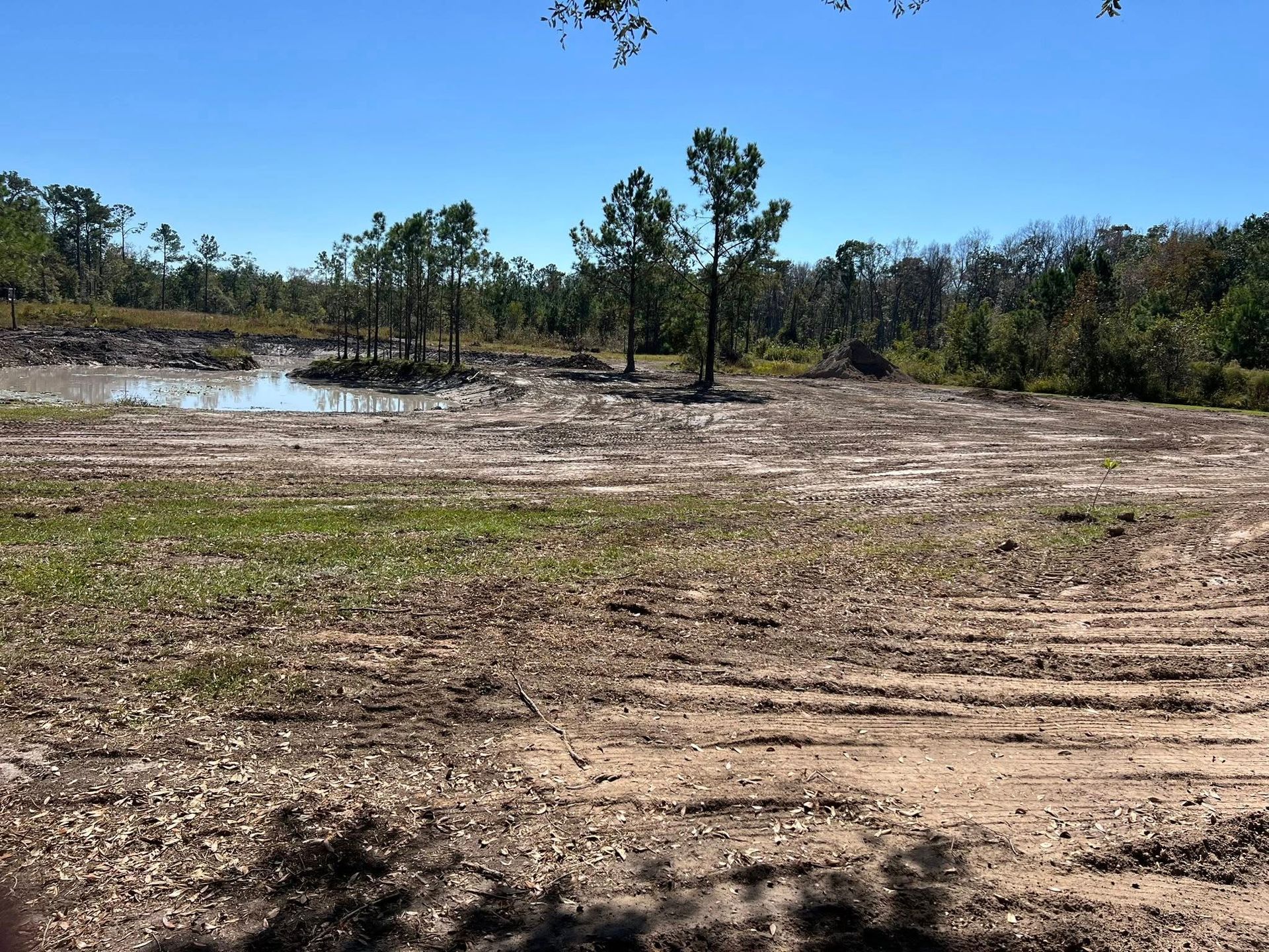 A clearing with disturbed soil and a small pond, surrounded by sparse trees under a clear blue sky.