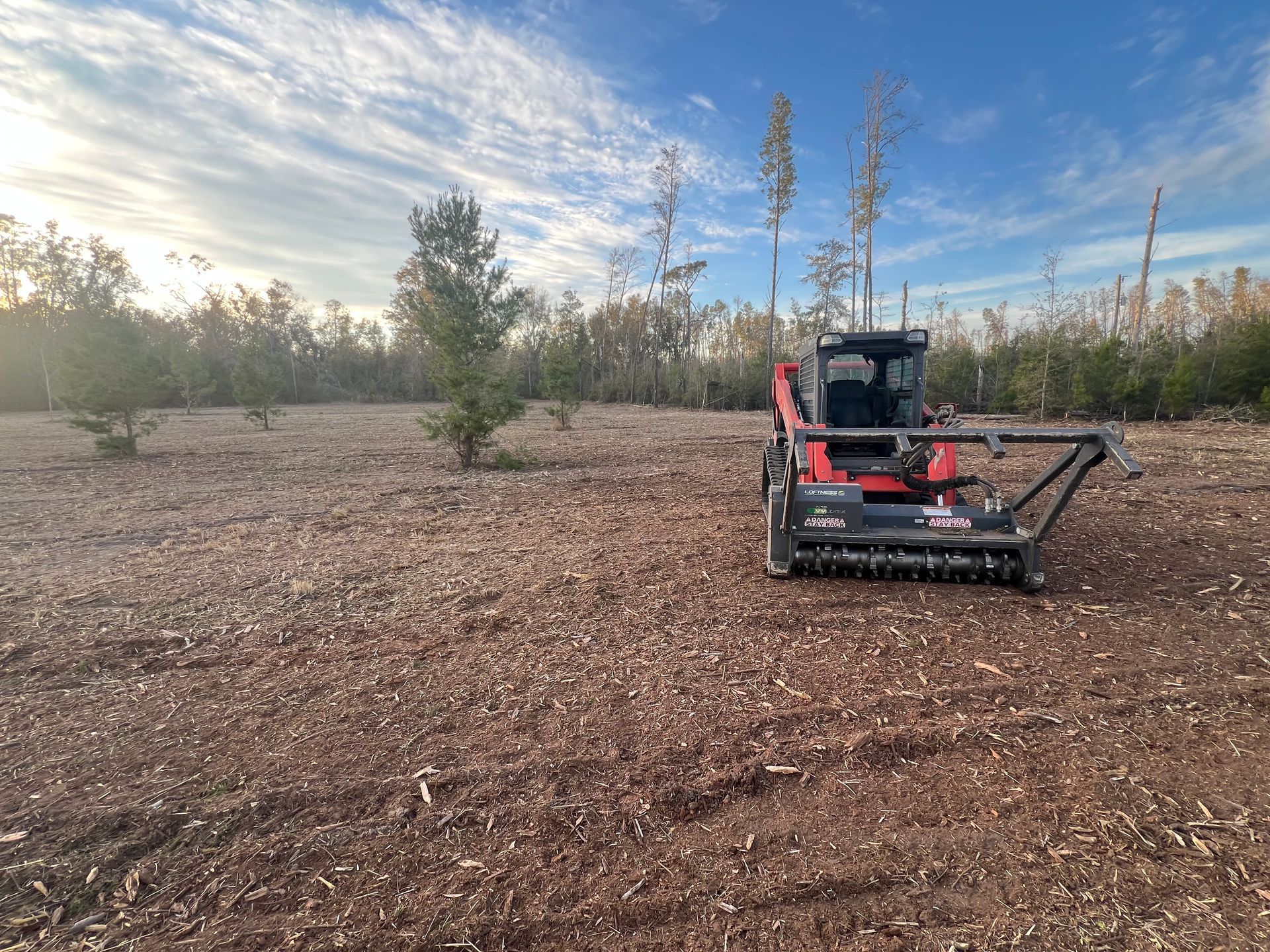 A red skid steer with a forestry mulching attachment sits in a cleared, wood-chipped field under a blue sky.