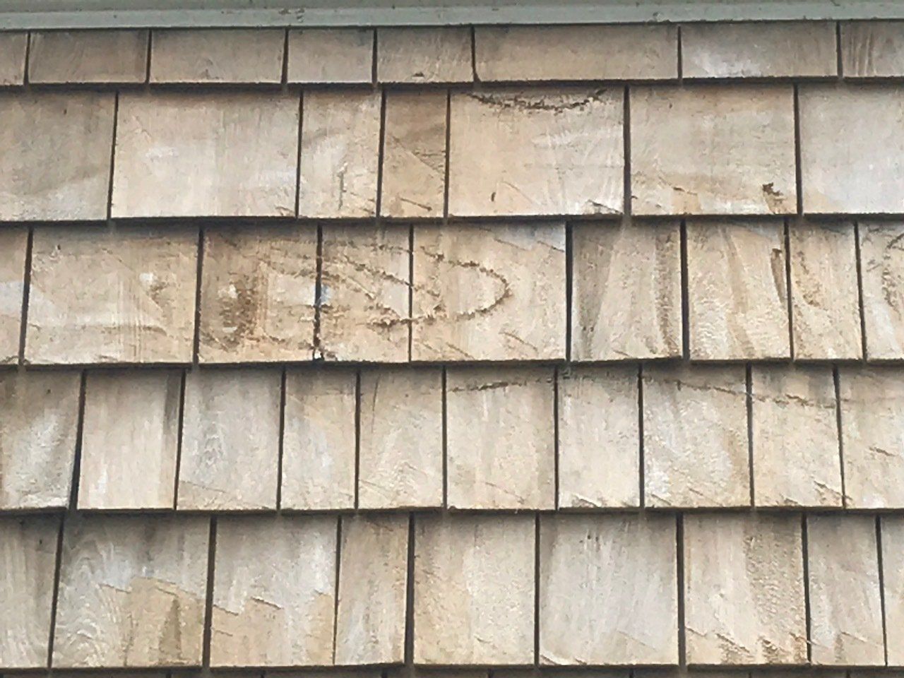 damaged cedar siding