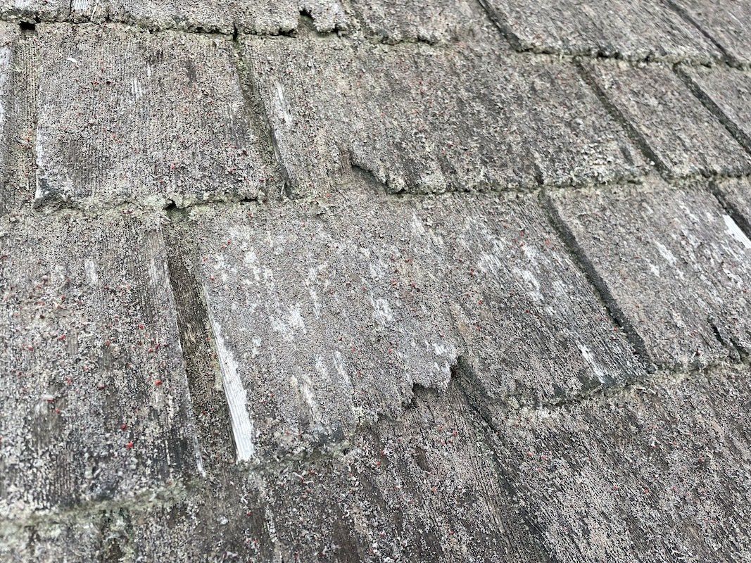 Cape Cod Roof Cleaner
