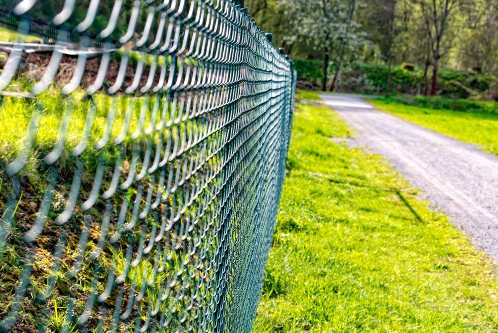 Green chain wire fence along grassy path with metal posts in outdoor setting beside walkway area