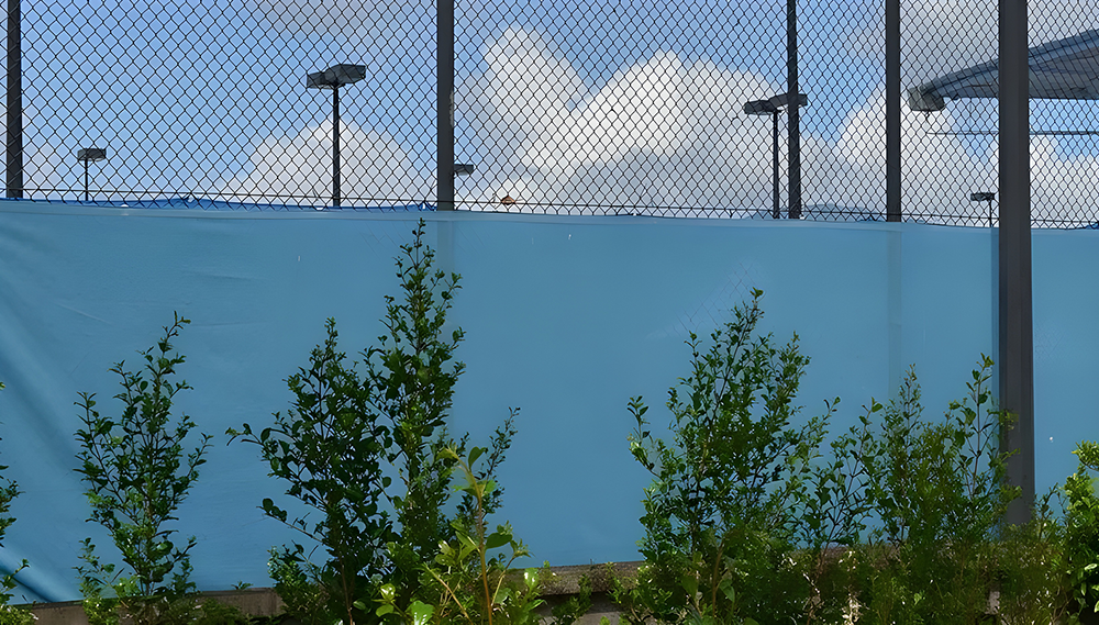 Chain Wire Fence