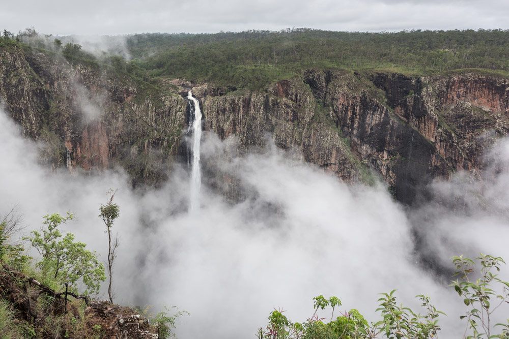Wallaman Falls — Fences in Bentley Park, QLD