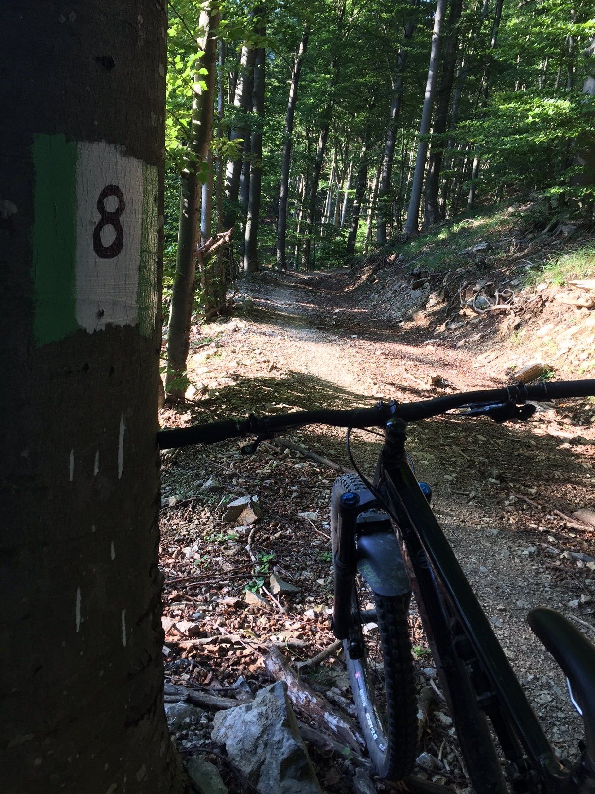 4 farms trails mtb