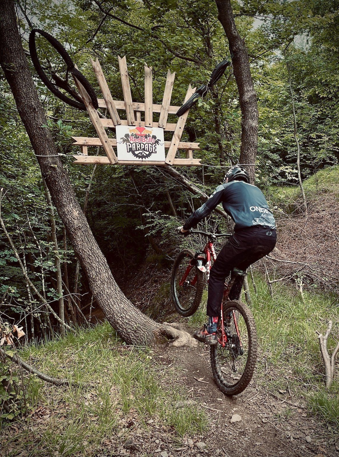 mtb guided tours liguria