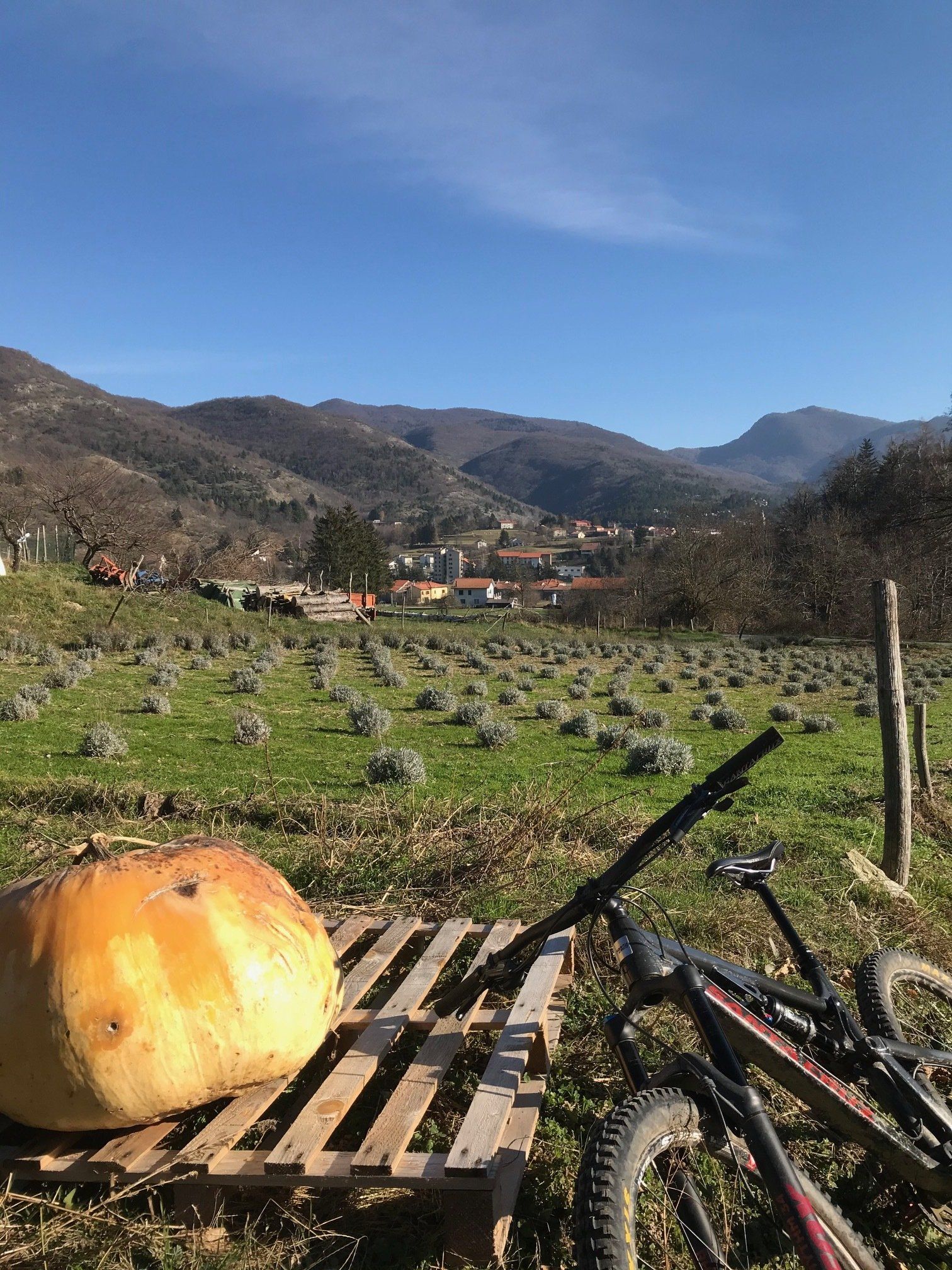 mtb vallone rio nero trail