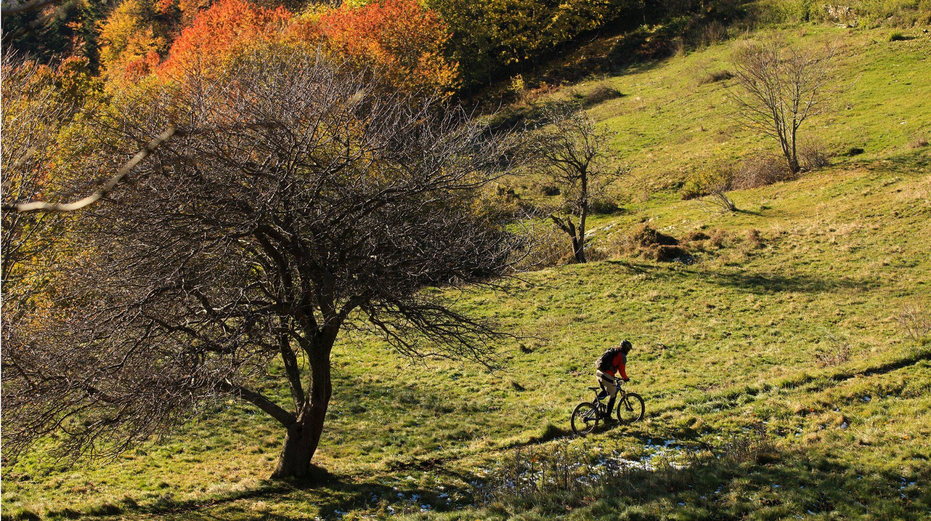 cross country trails bardineto