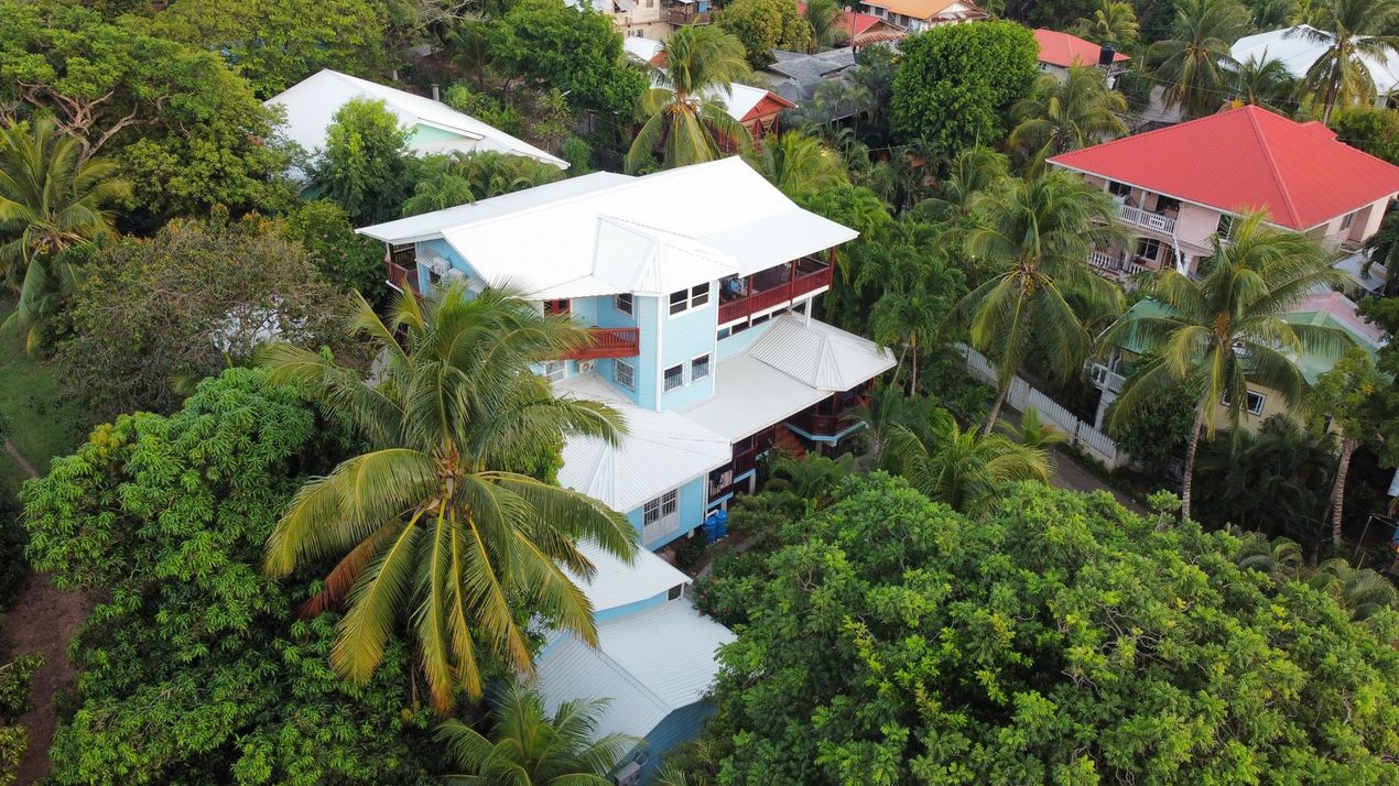 Blue house with white roof surrounded by lush green trees.