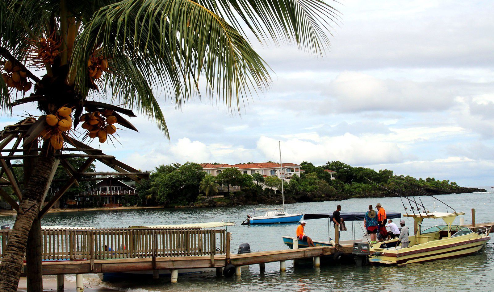 Wooden pier with boats, people, palm tree, and buildings on the shore in a tropical setting.