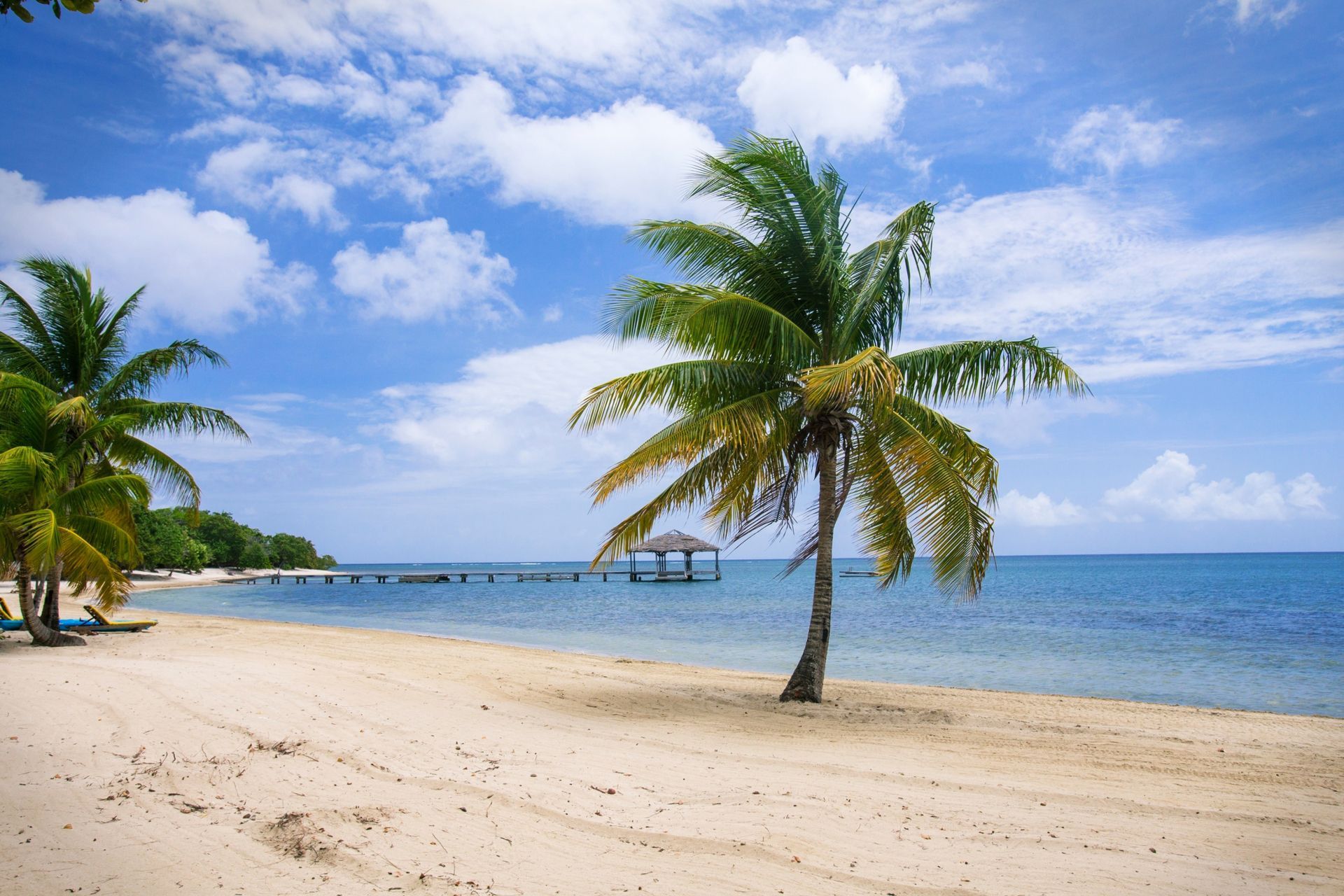 Sandy beach with palm trees, blue water, and sky dotted with clouds.
