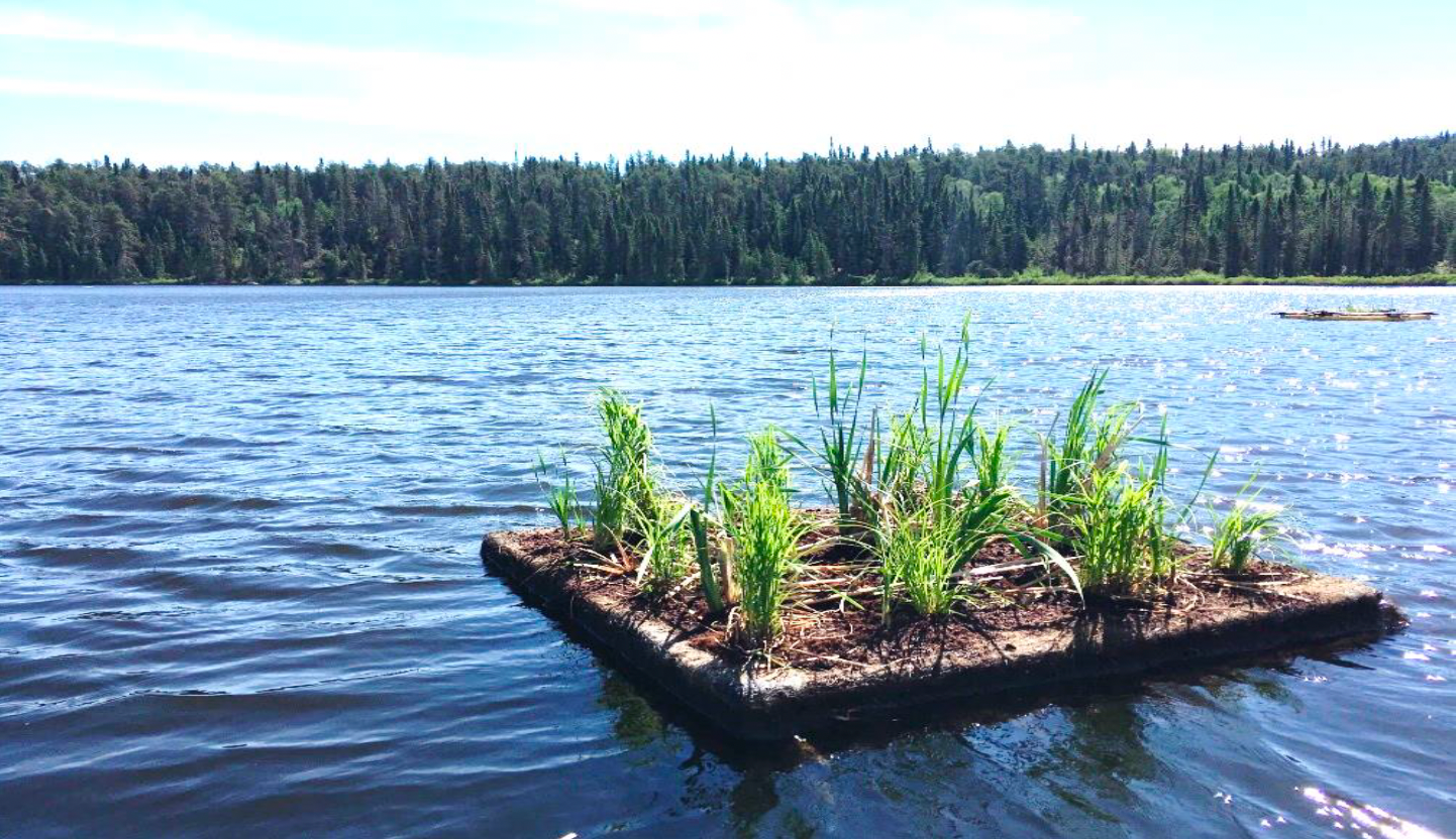 A small island in the middle of a lake with trees in the background.
