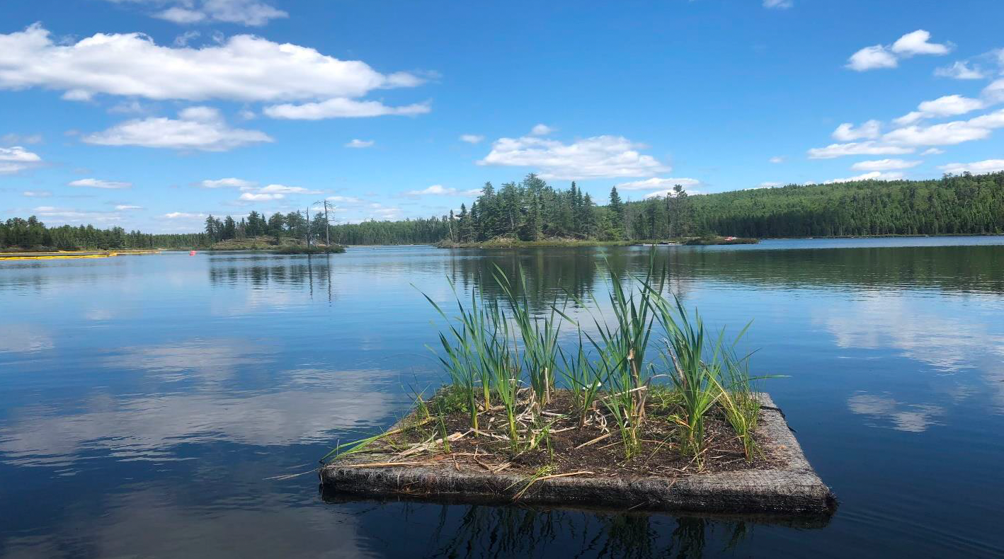 A small island in the middle of a lake with trees in the background.
