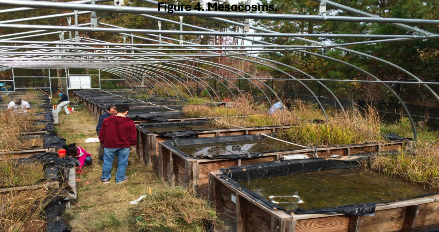 A group of people are standing inside of a greenhouse.