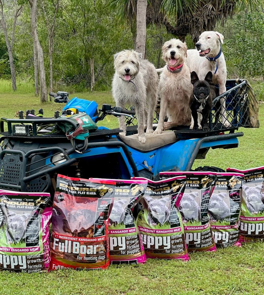 Four Dogs Stand on a Blue Atv in a Grassy Field Behind Several Bags of Dog Food — Humpty Doo Hardware in Humpty Doo, NT