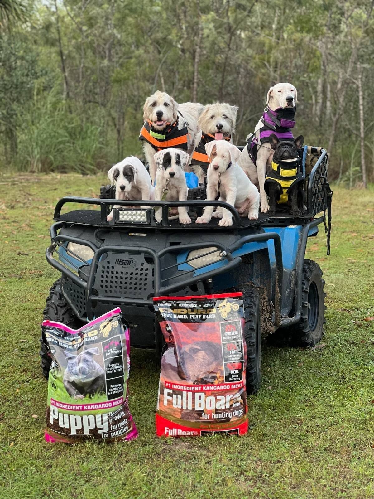 A Group of Dogs in Harnesses Sitting on a Blue ATV — Humpty Doo Hardware in Humpty Doo, NT