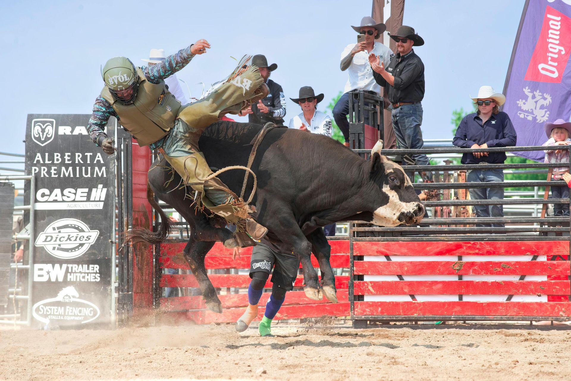 A bull rider in protective gear hangs onto a bucking black bull in an arena with spectators in the background.