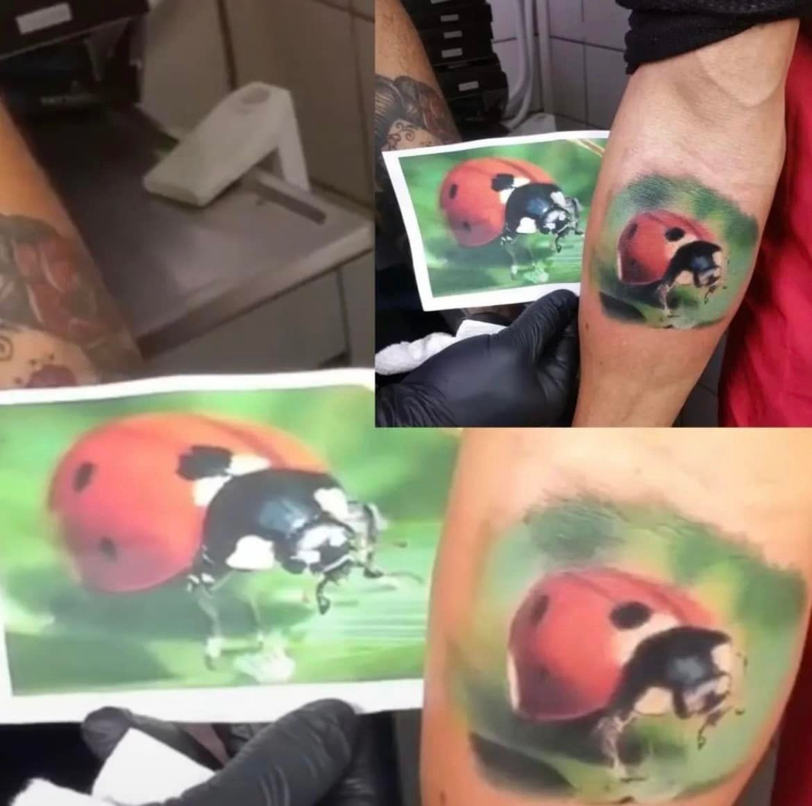 Een tatoeëerder toont een afgedrukte referentiefoto van een lieveheersbeestje naast de voltooide, realistische tatoeage op de arm van een persoon.
