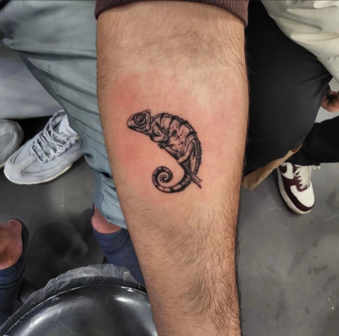 Een onderarm met een kleine, gedetailleerde tatoeage in zwarte inkt van een opgerolde kameleon die op een tak zit.