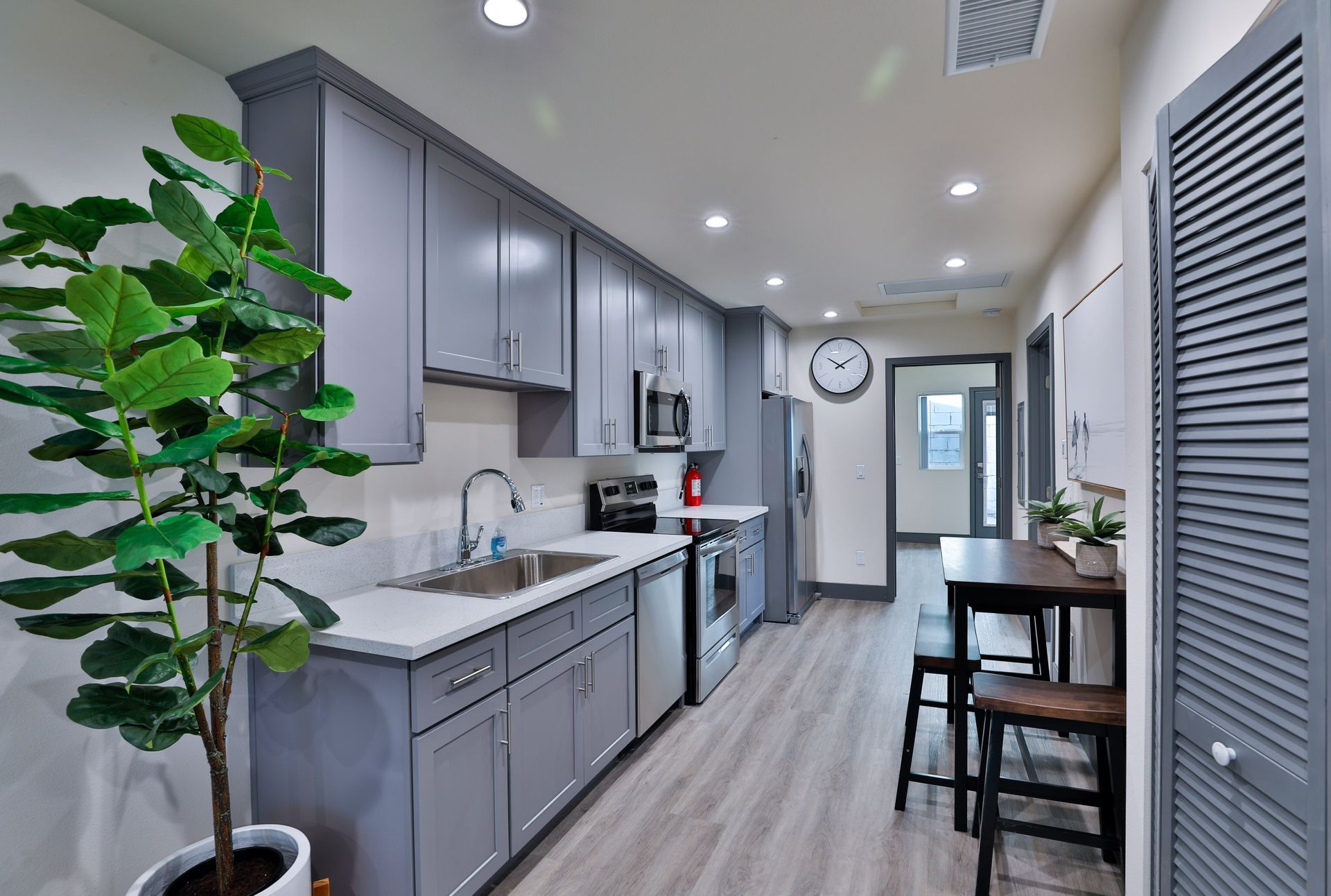 This image showing a kitchen in grey and white colour scheme with one plant infront of it and other accessories in it