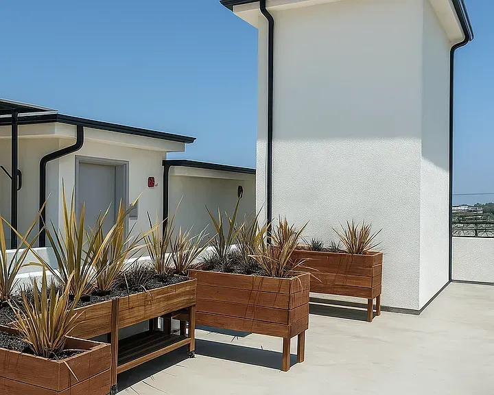 Three rectangular wooden planters with spiky green plants on a rooftop terrace next to a white building.