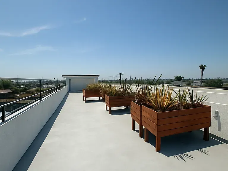 Rooftop terrace with wooden planter boxes containing spiky desert plants under a clear blue sky.