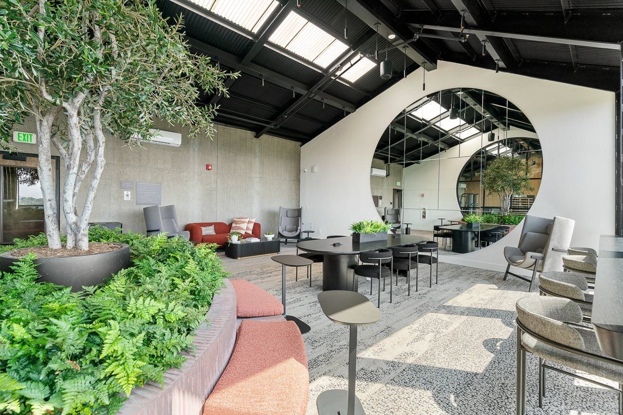 Modern, airy lounge with a circular wall opening, indoor tree, leafy plants, and a mix of seating on a gravel floor.