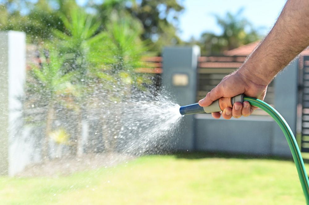 Watering Grass — Canberra, ACT — ACT Spray Seeding