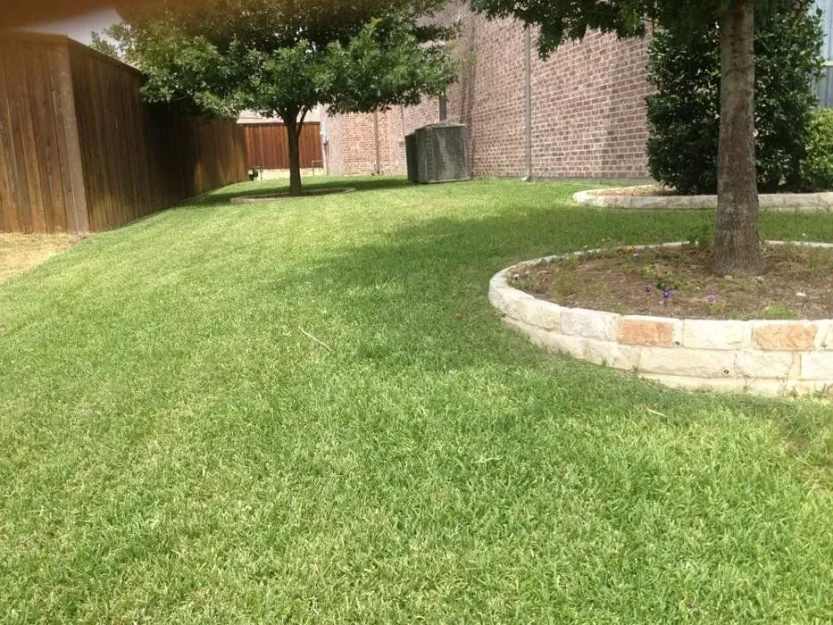 Texas Pride Gallery Image