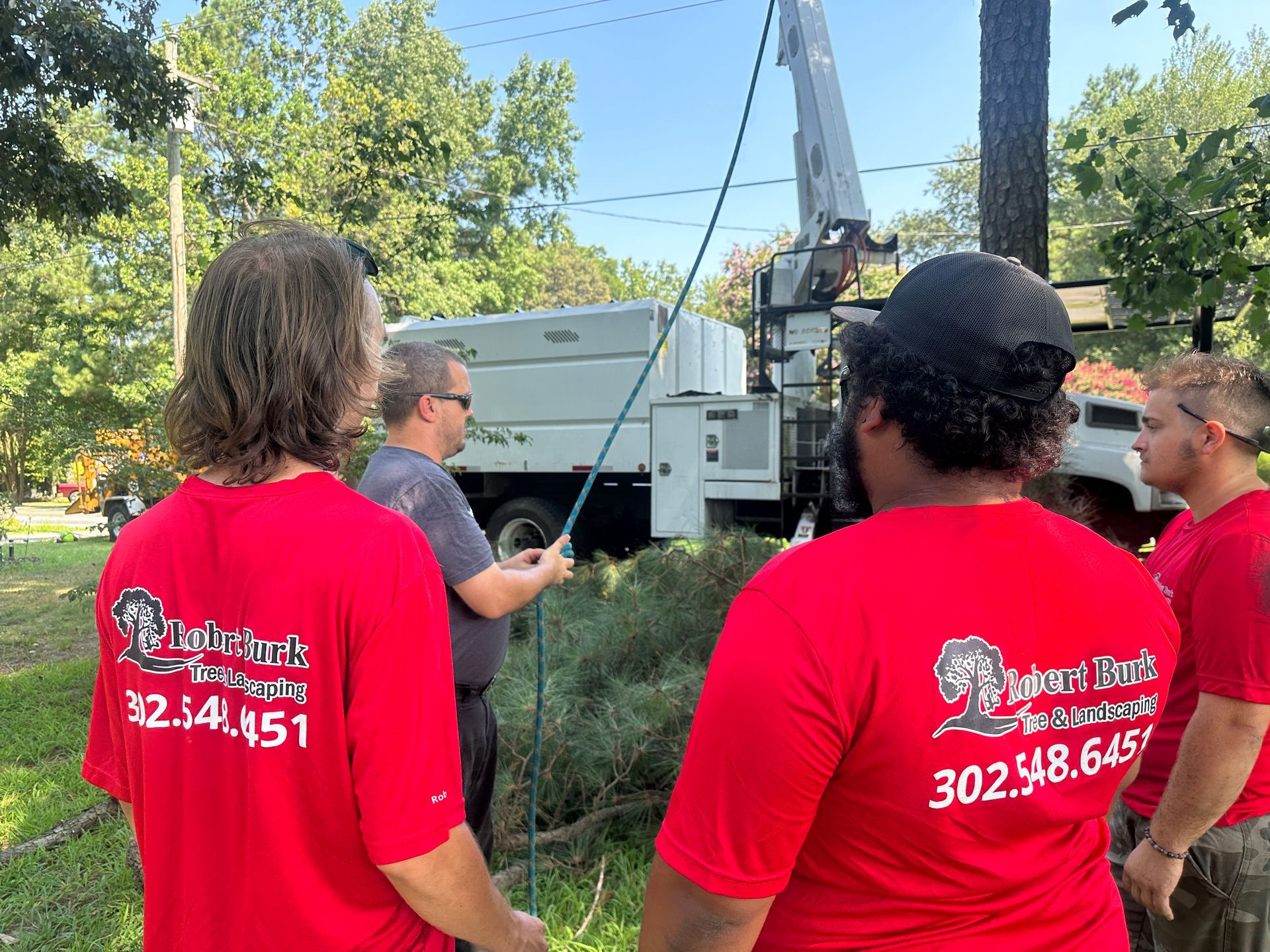 Professional tree crew safety training in Sussex County Delaware

