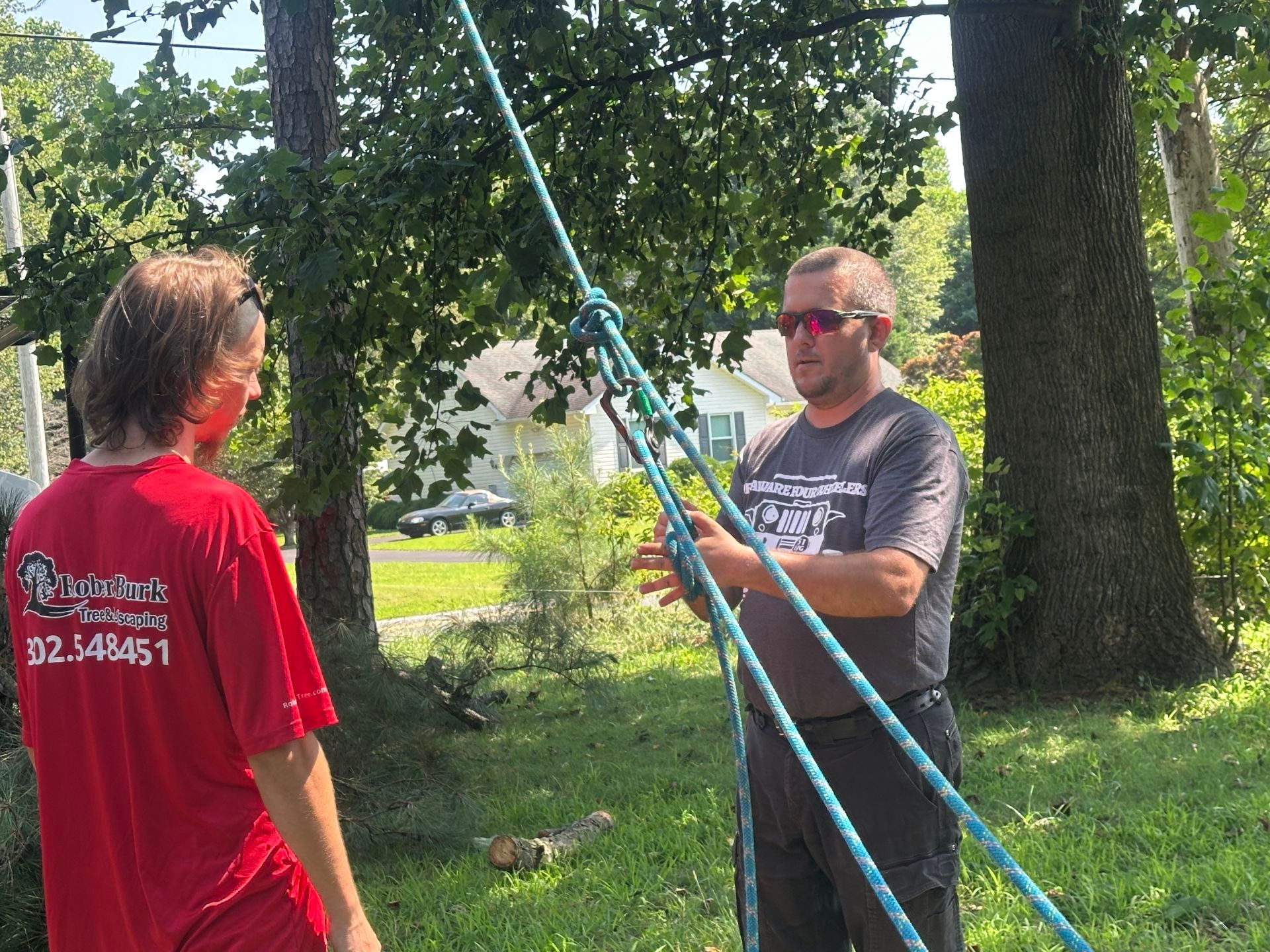 Tree pruning service improving tree structure and safety in Milford Delaware