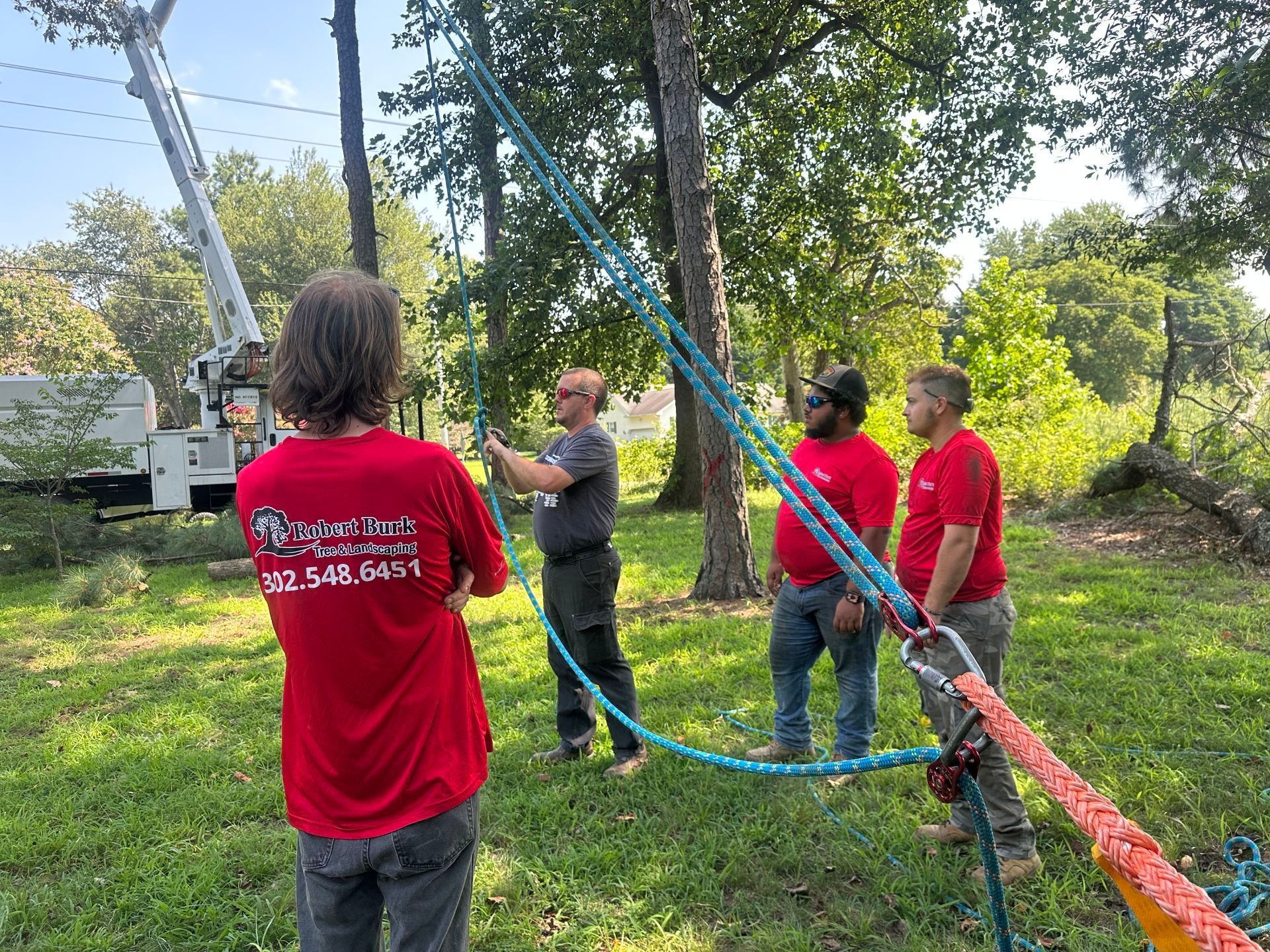 Tree crew learning safety and operational procedures in Milford Delaware