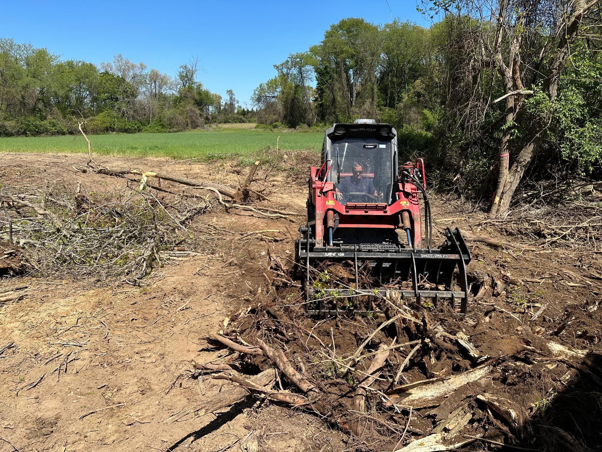 Emergency tree services for storm cleanup on residential property in Sussex County Delaware