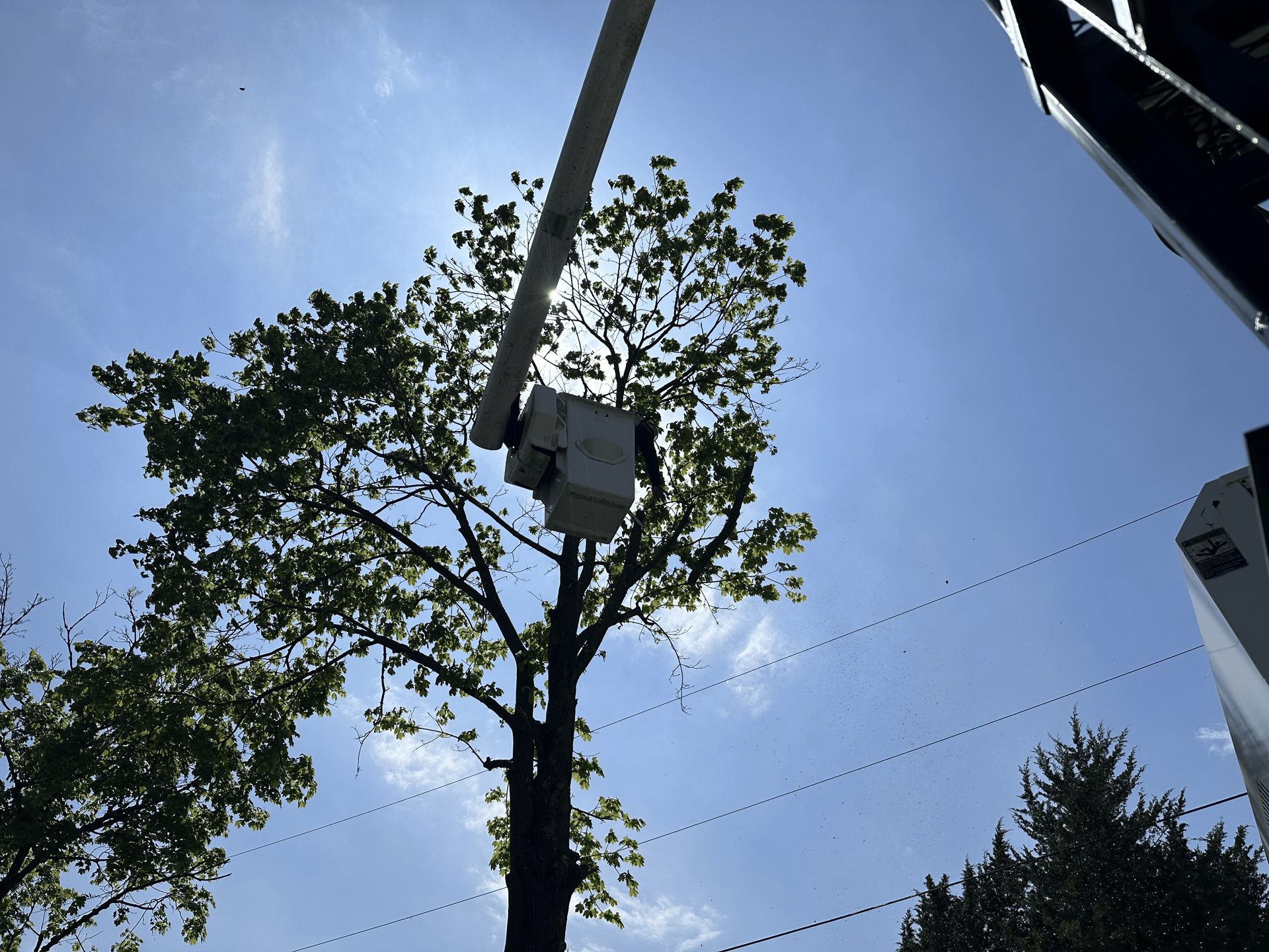 Emergency tree removal with arborist in cherry picker after storm in Milford Delaware