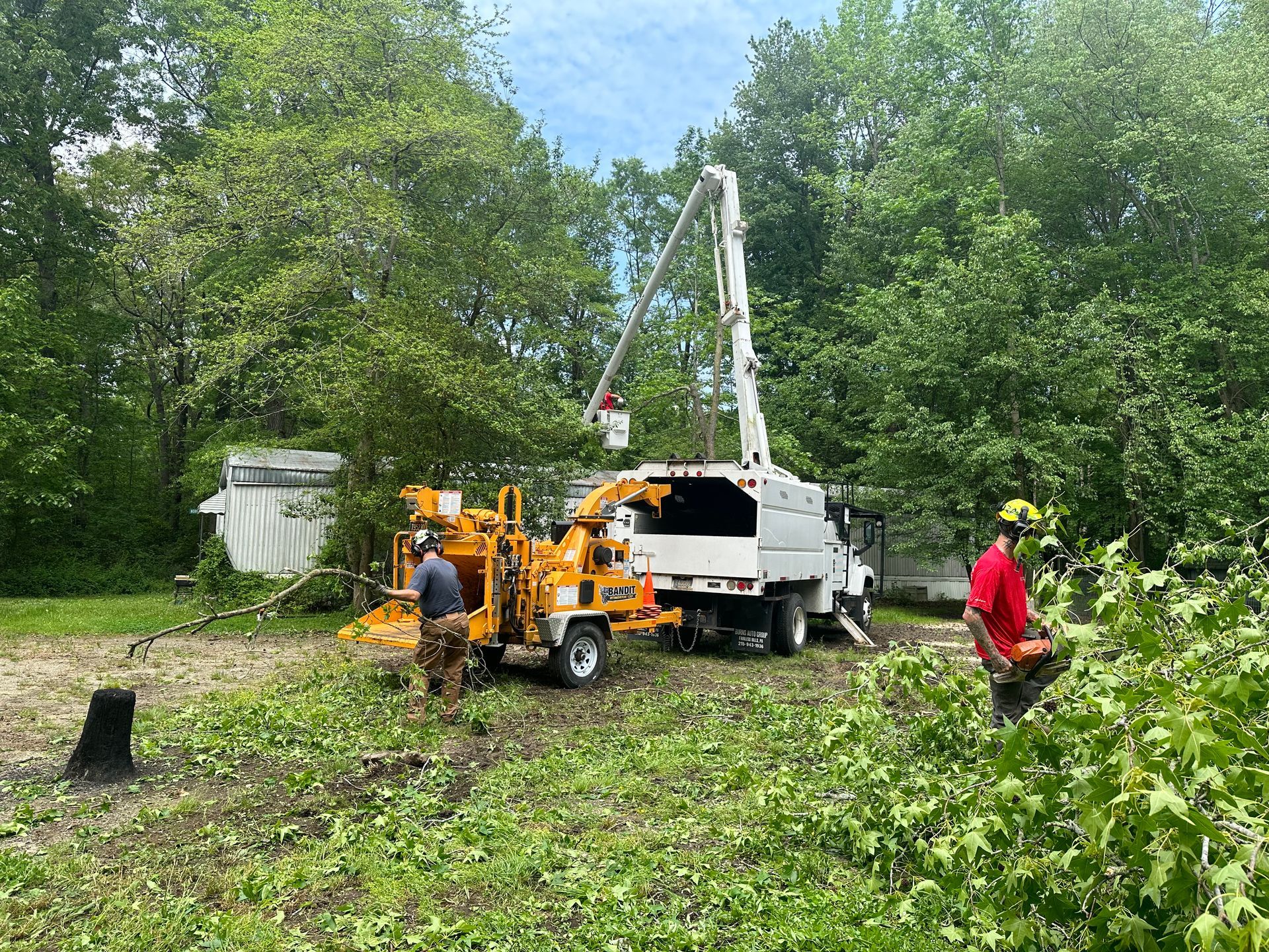 Emergency tree services removing broken limbs near home in Milford Delaware